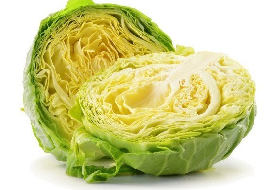 repollo-o-col.jpg