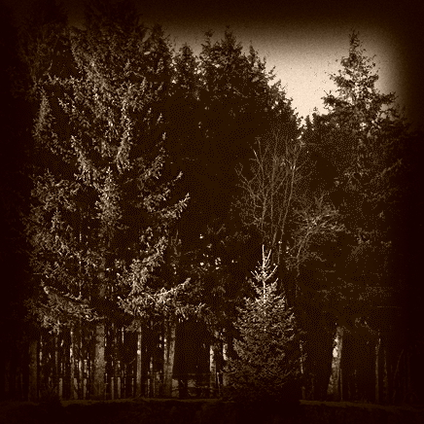 Cover Test 2 1400.png
