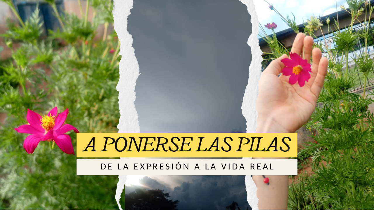 LOS 25 DE MI HERMANO (1).png