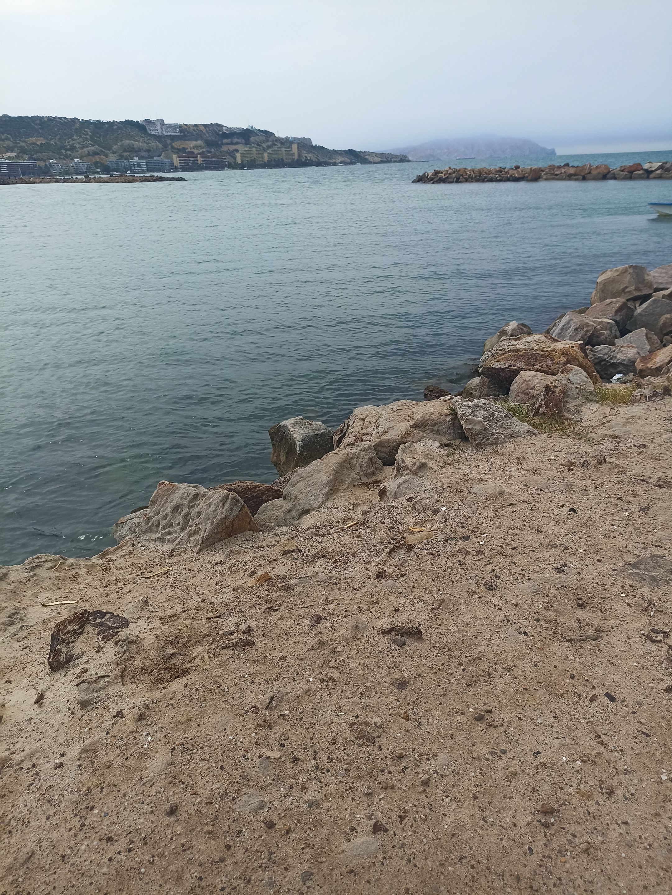 IMG_20250720_145755.jpg