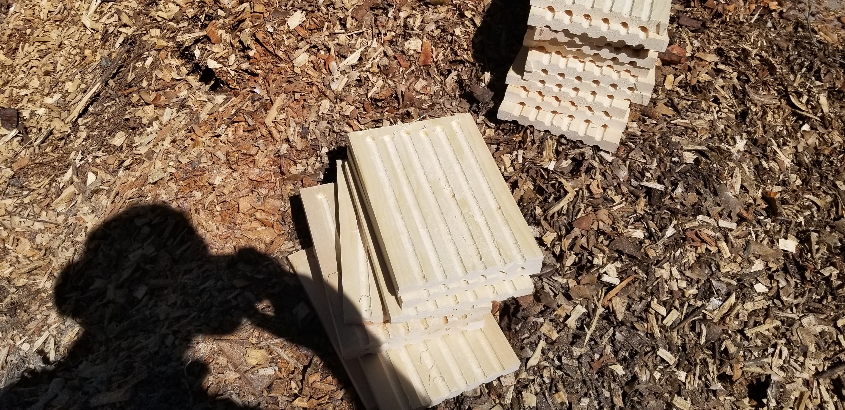 20201003_121319.jpg