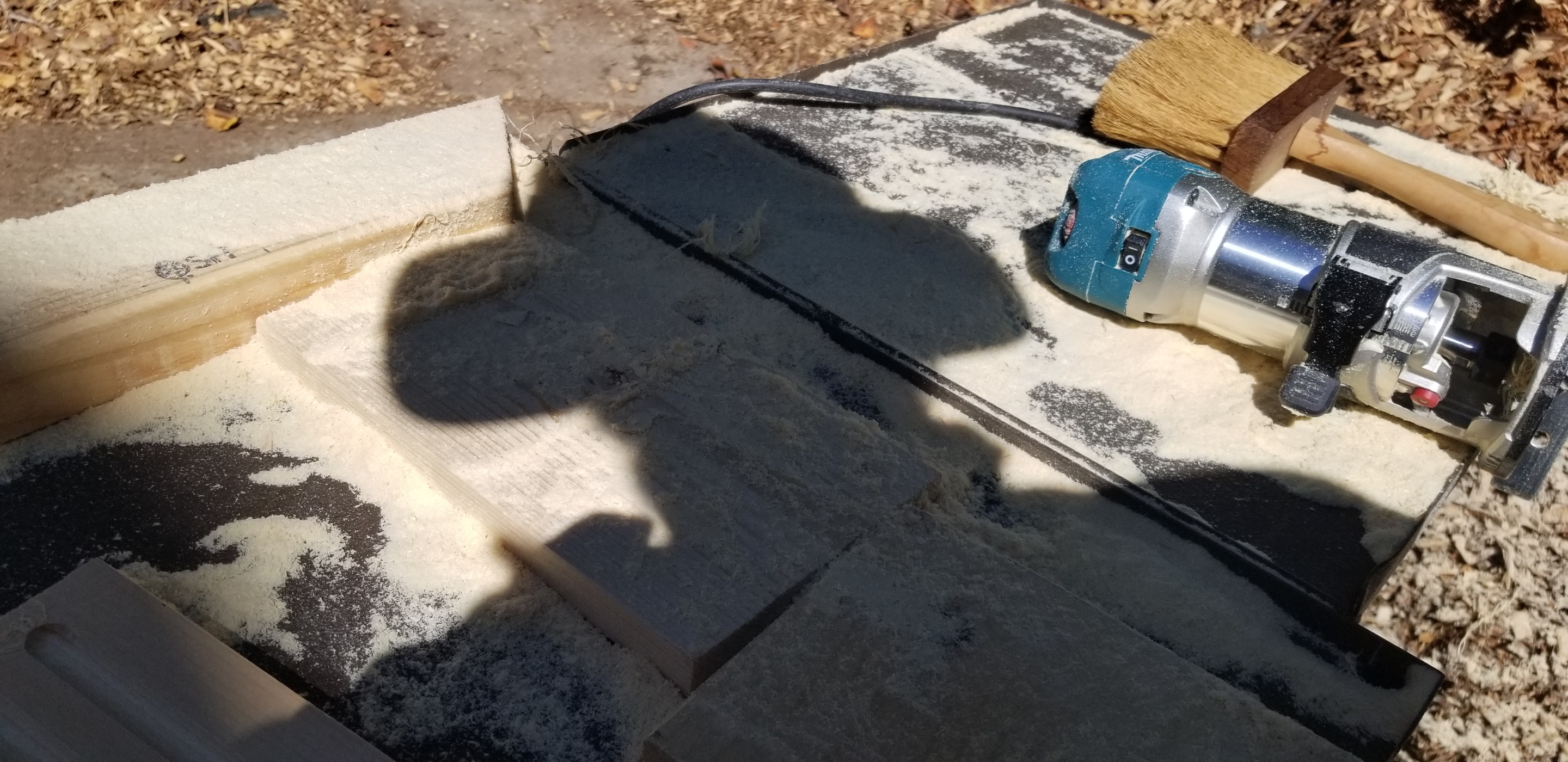 20201003_121253.jpg