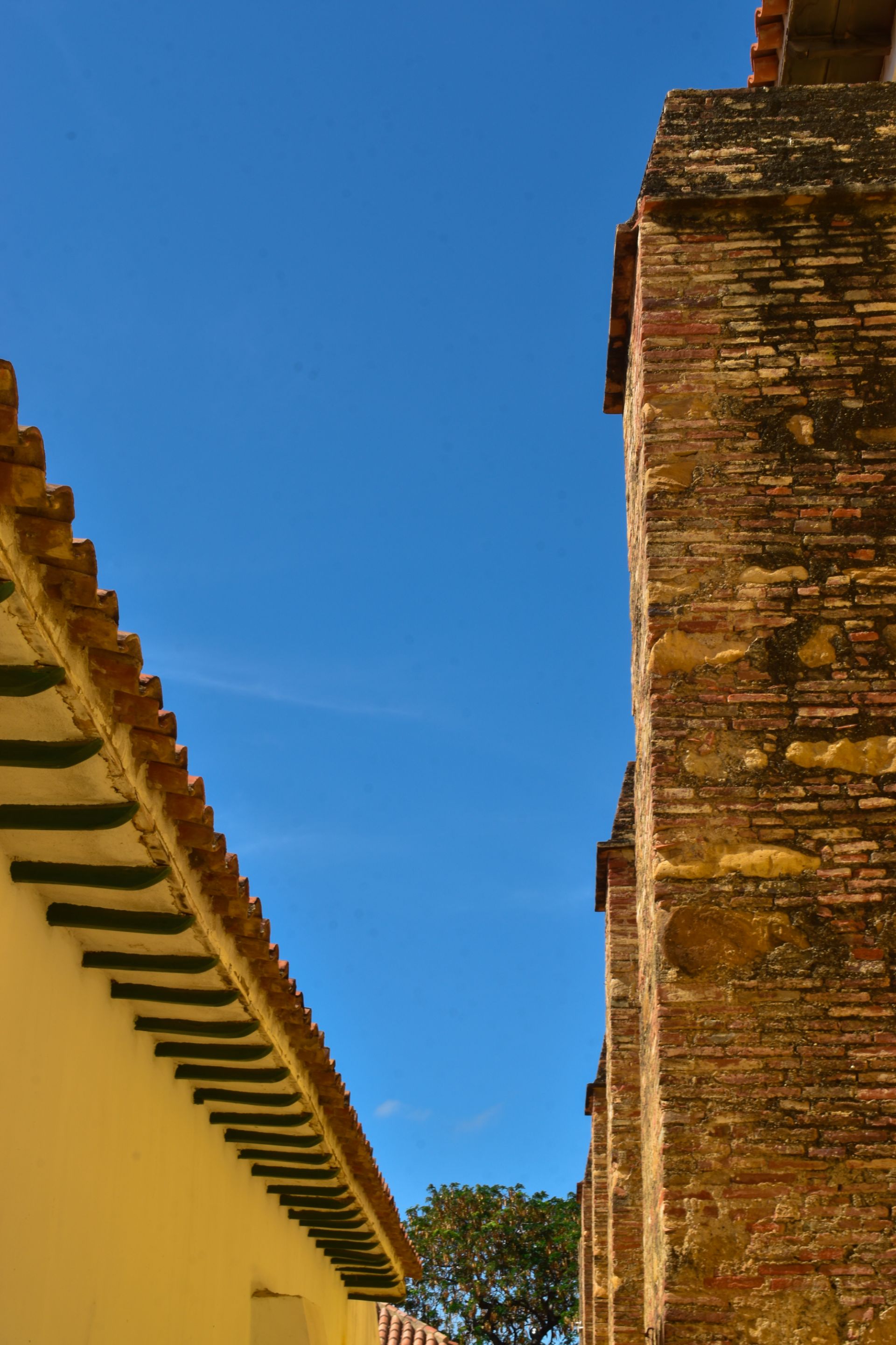 DSC_0461.jpg