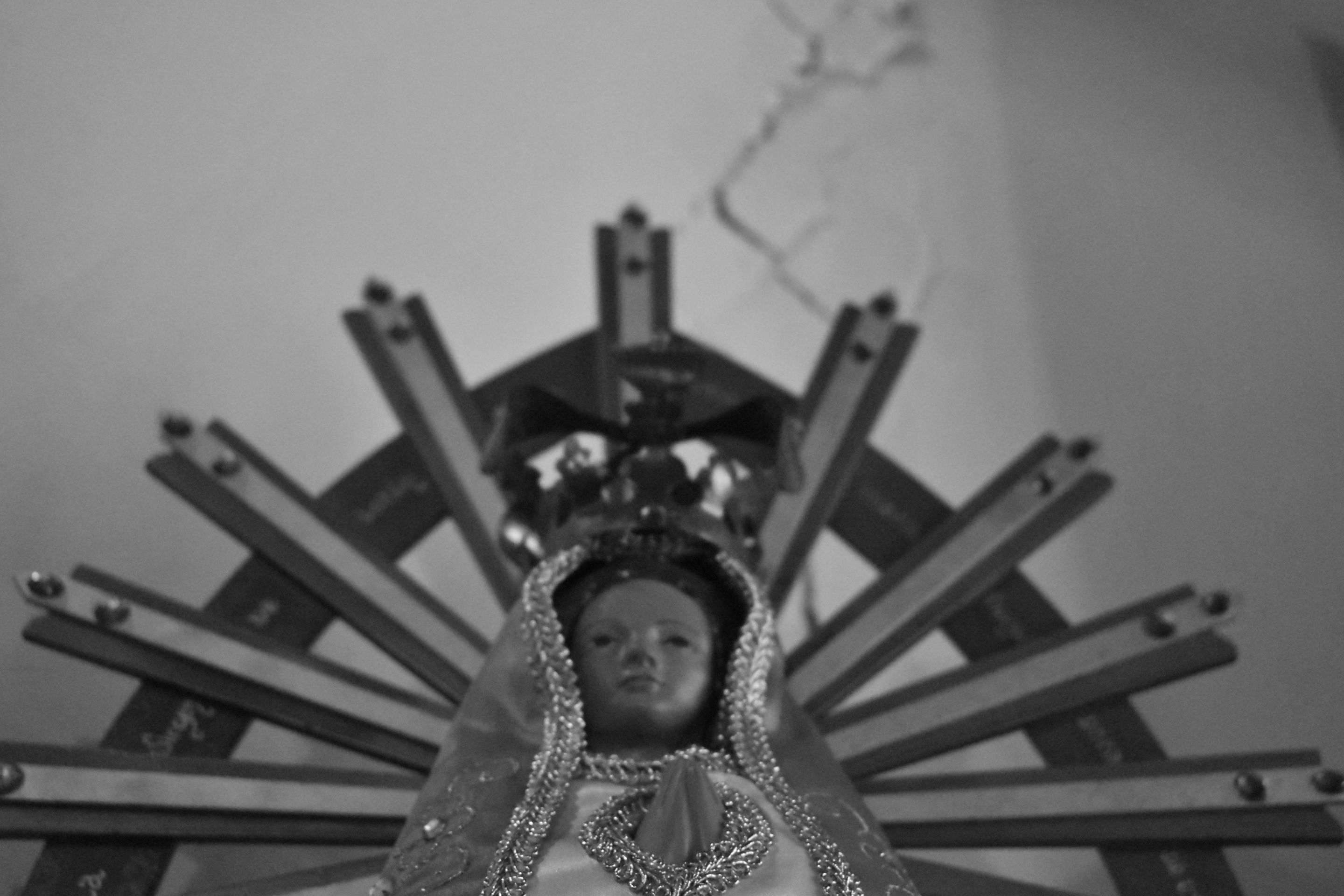 DSC_0556.jpg