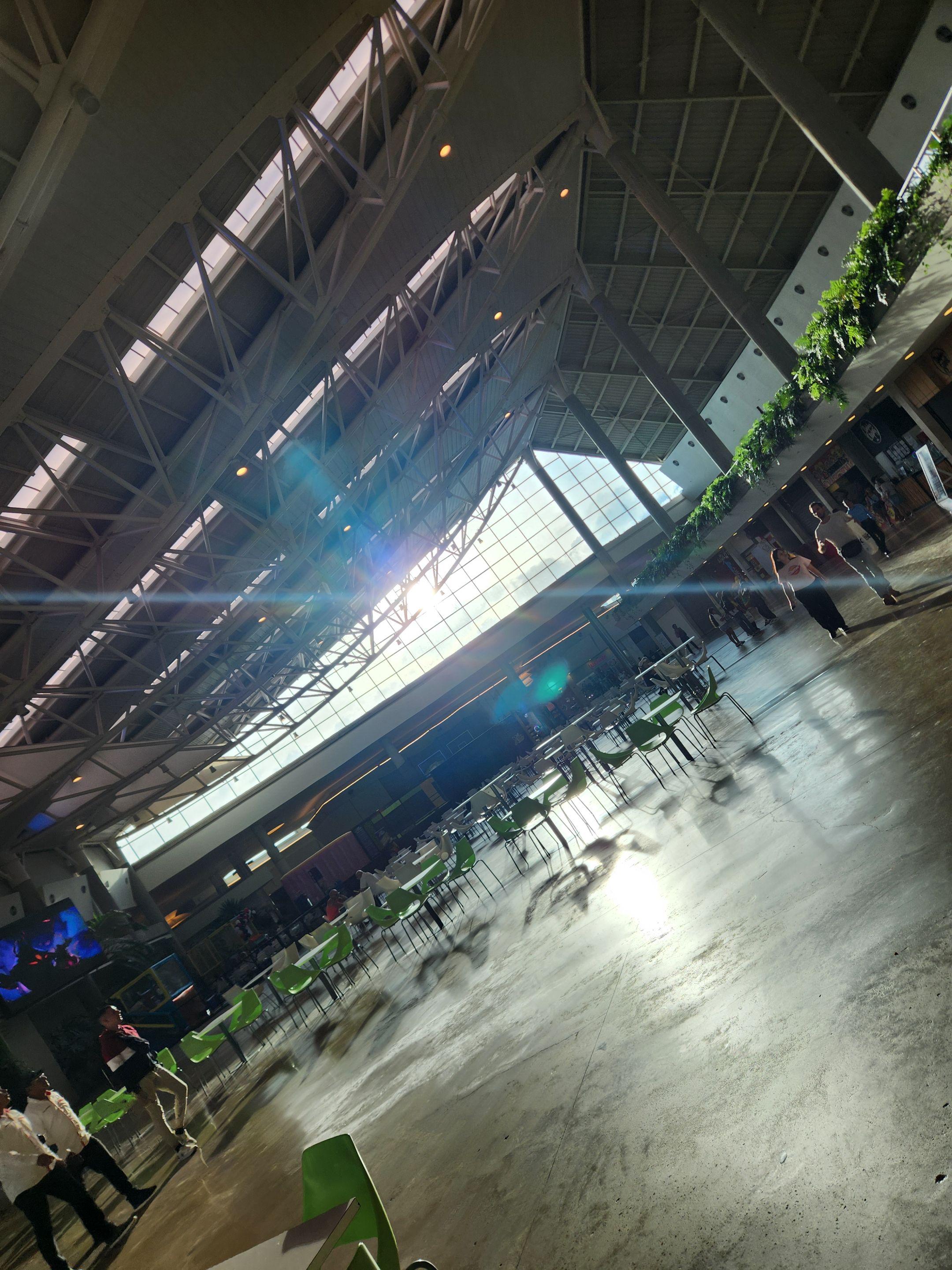 20250903_173150.jpg
