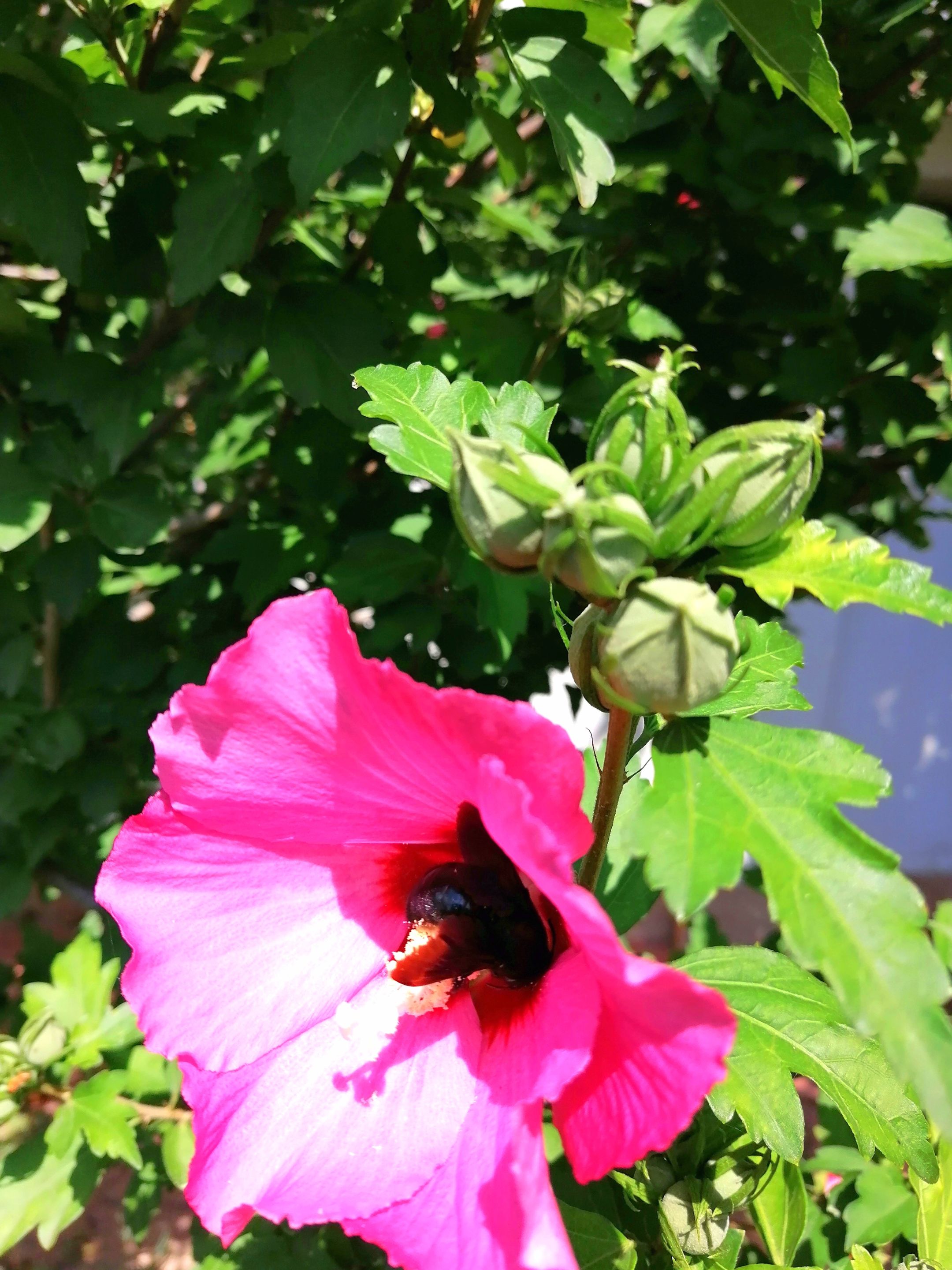 IMG_20210714_135534.jpg