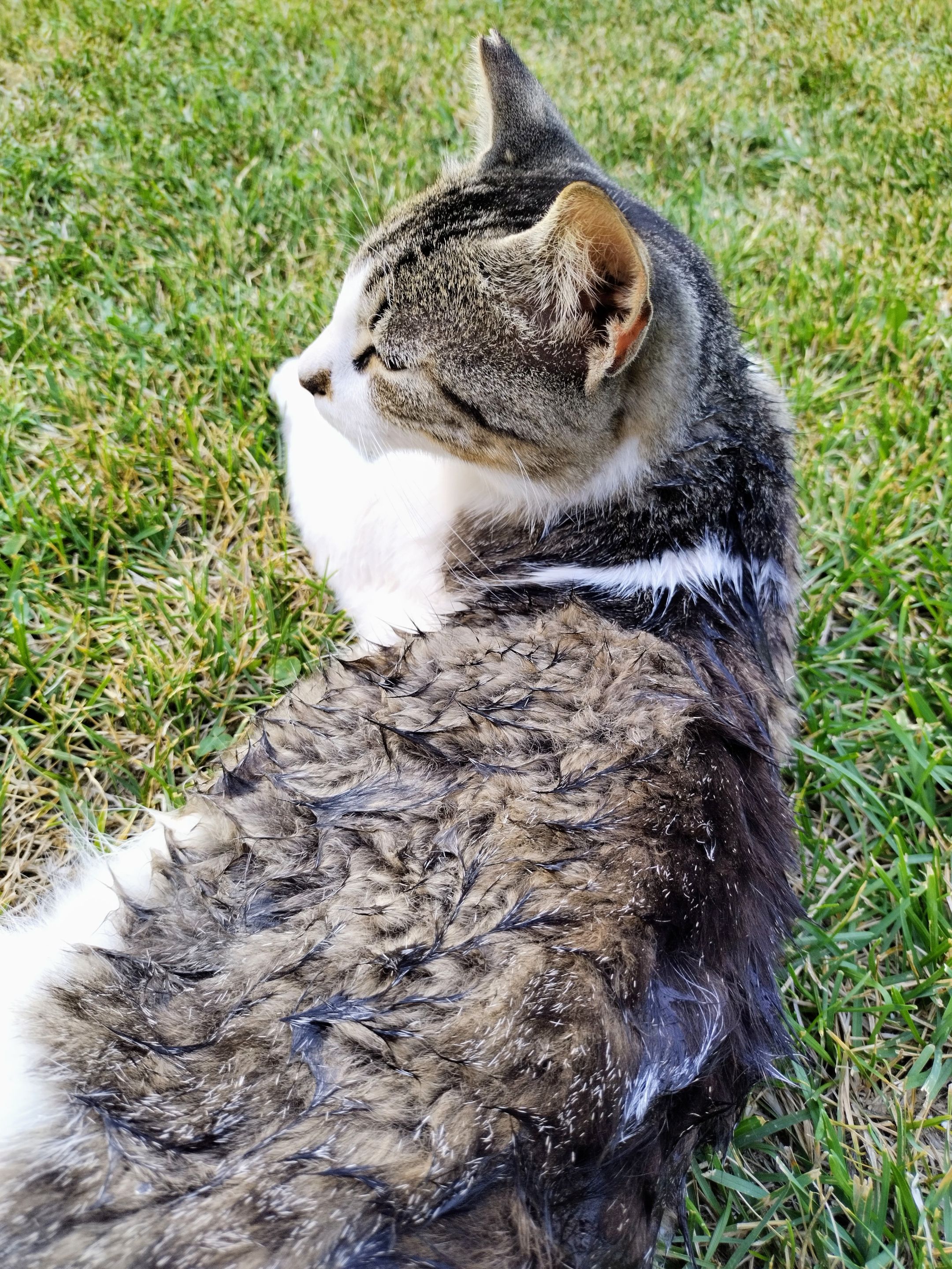 IMG_20220723_185532~2.jpg