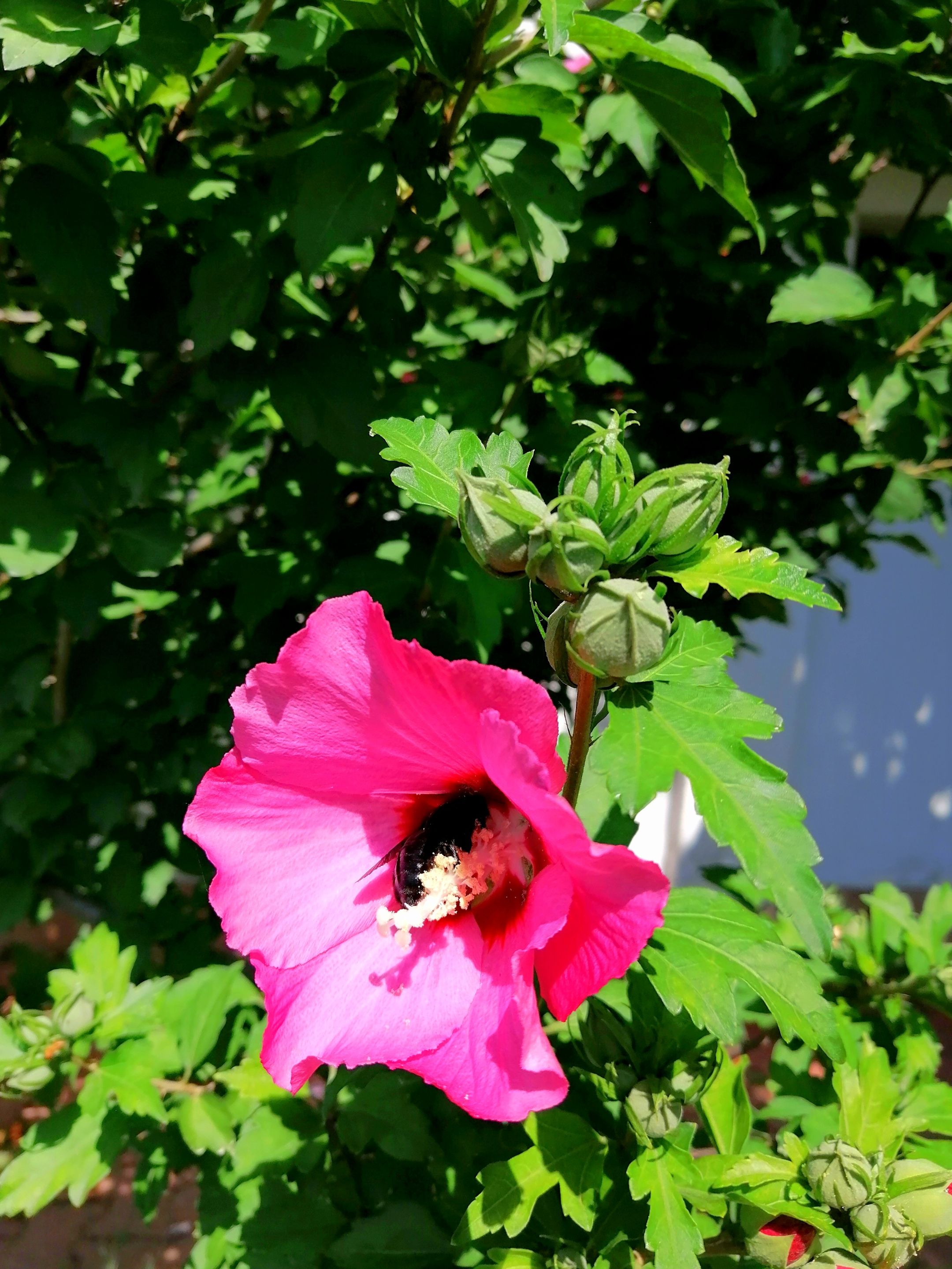 IMG_20210714_135500.jpg