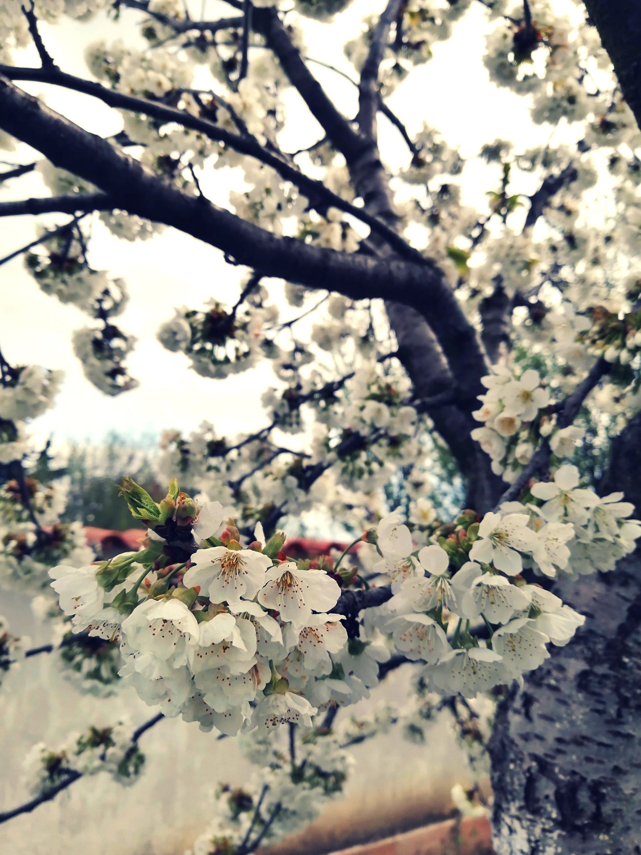 IMG_20210823_201150.jpg