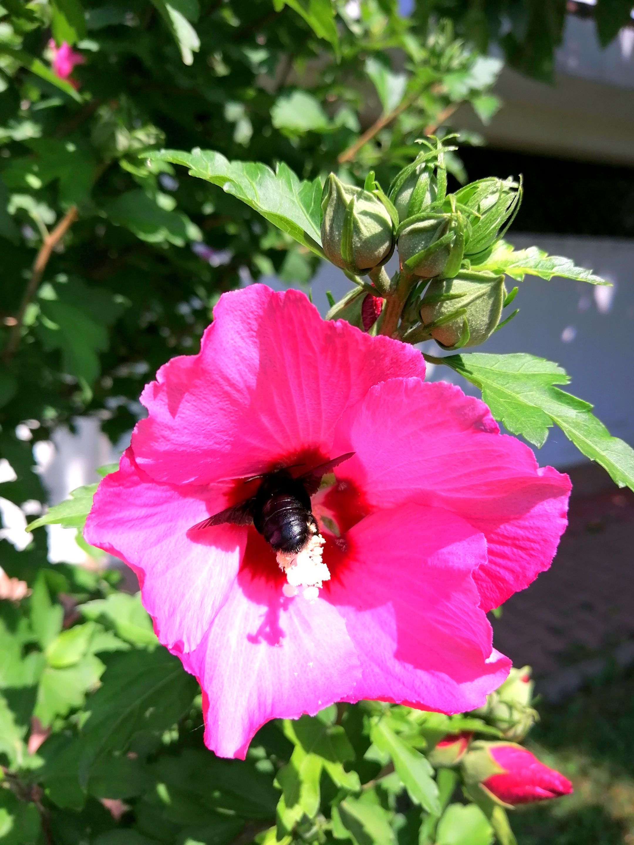 IMG_20210714_135632.jpg