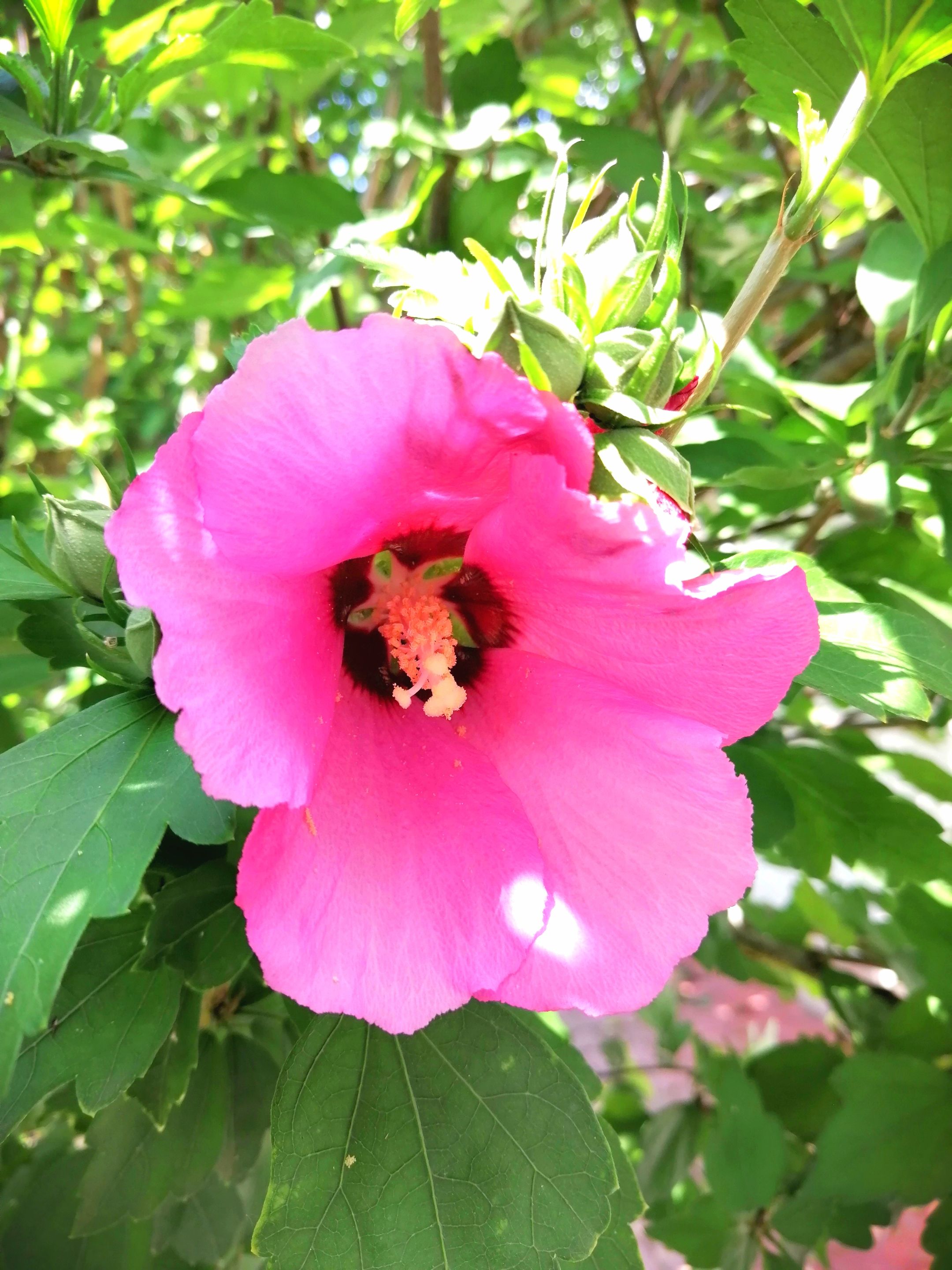 IMG_20210714_135832.jpg