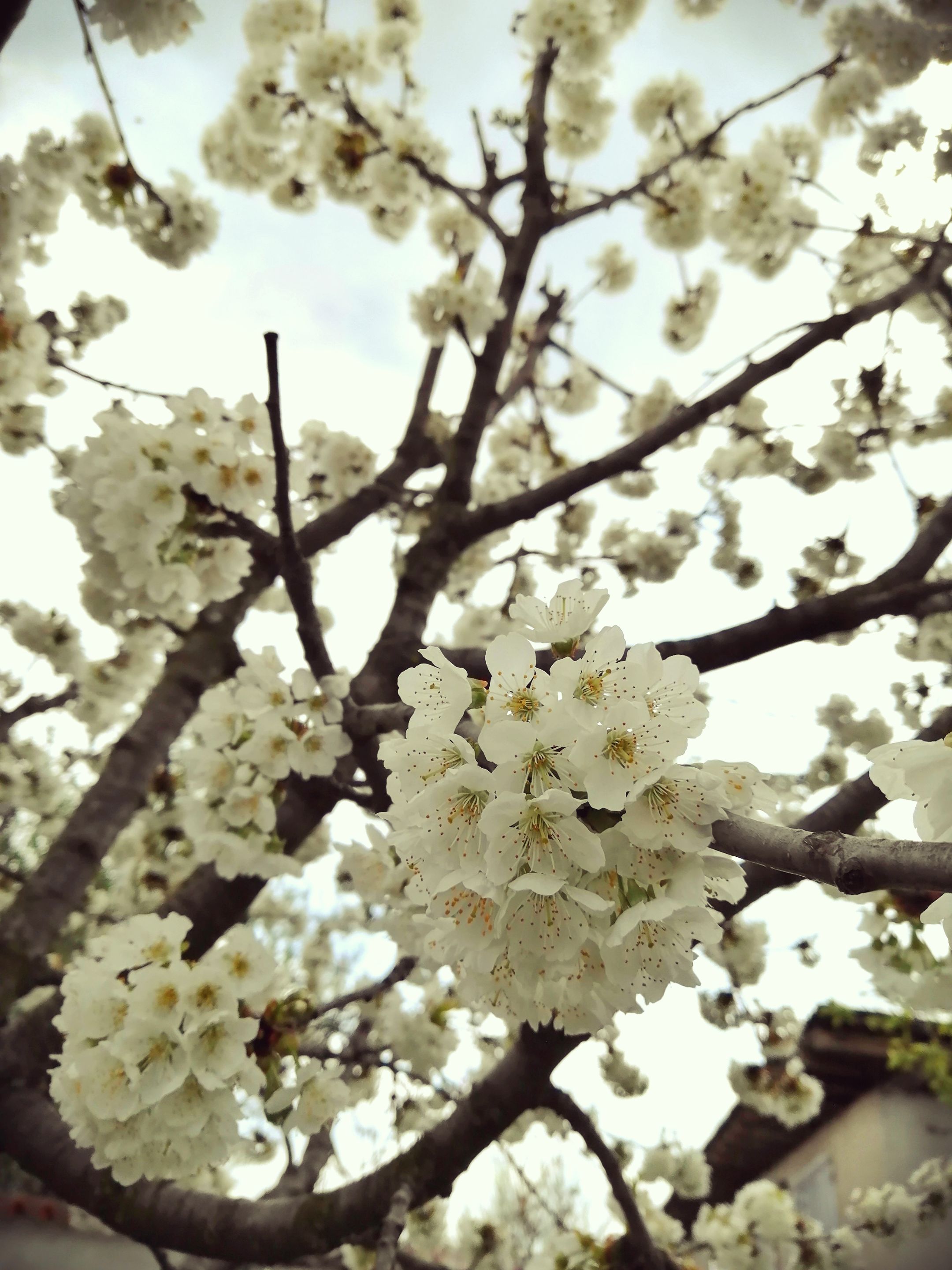 IMG_20210823_201244.jpg