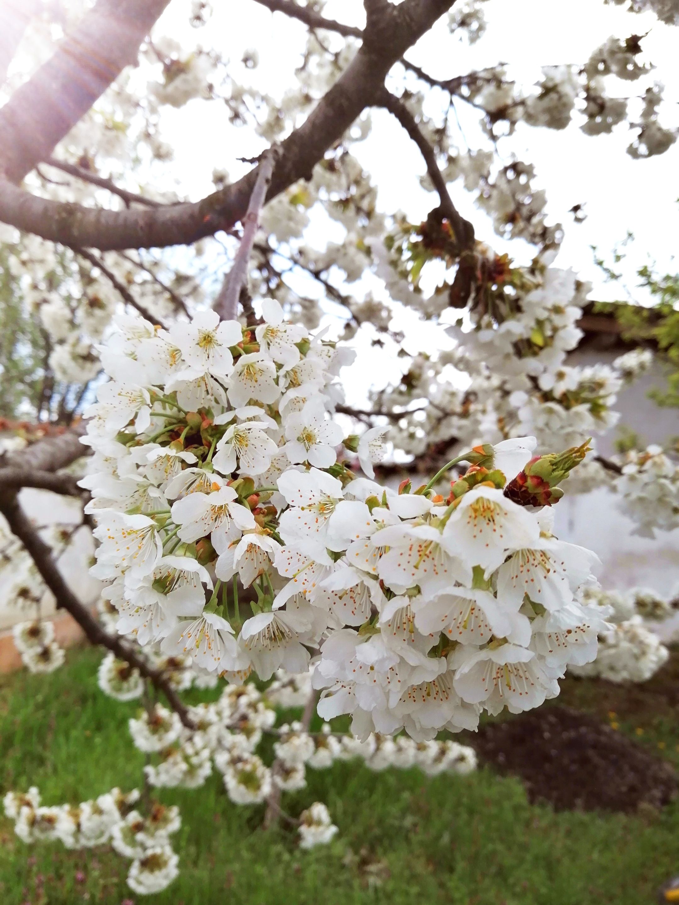IMG_20210823_201338.jpg