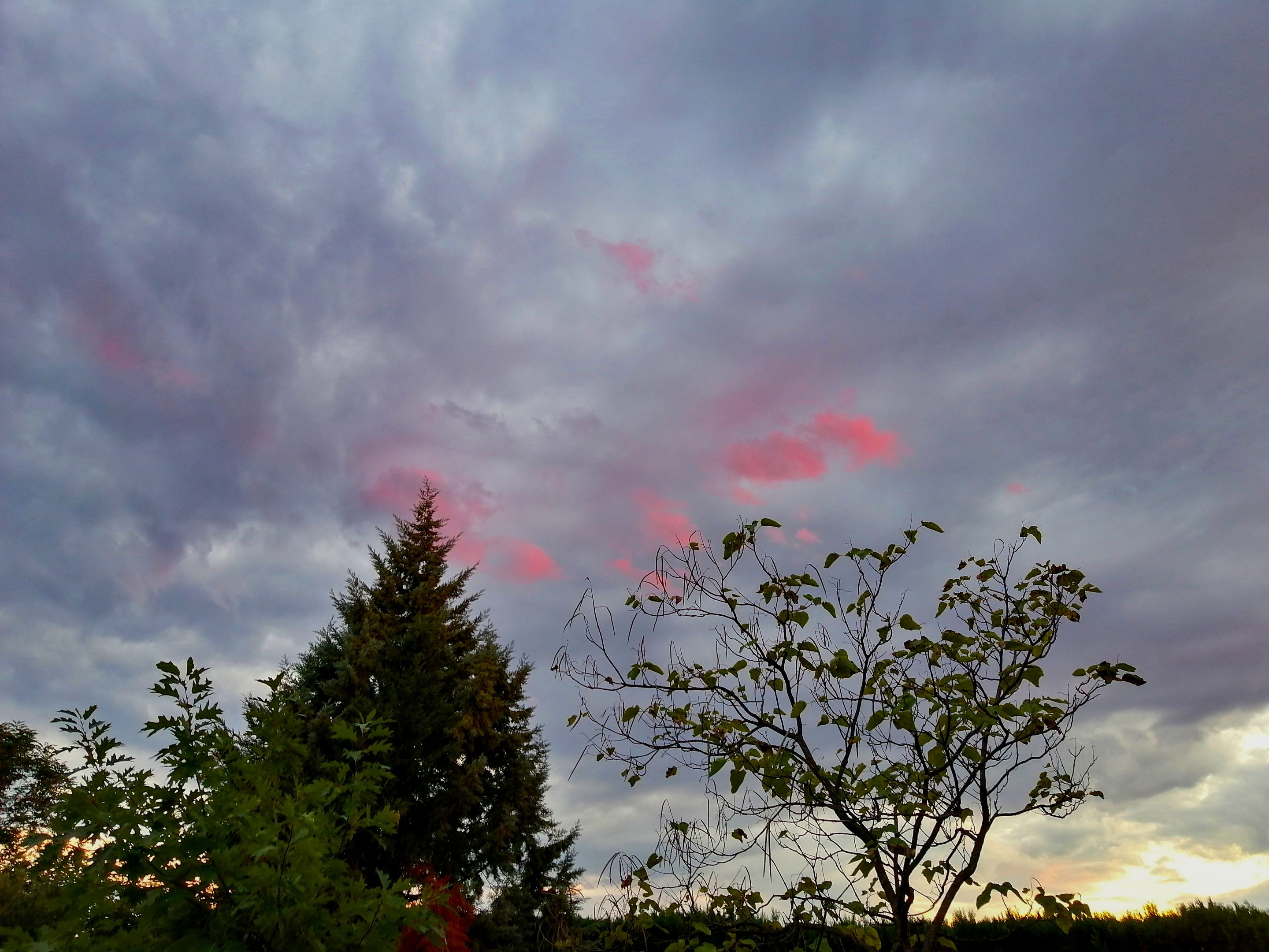 IMG_20211015_002350.jpg
