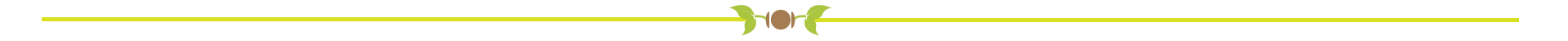 Untitled-2-01.png