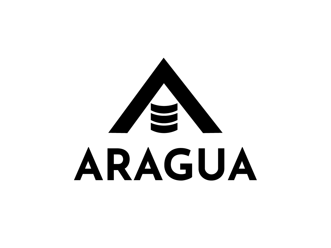 HIVE ARAGUA 2-10.jpg