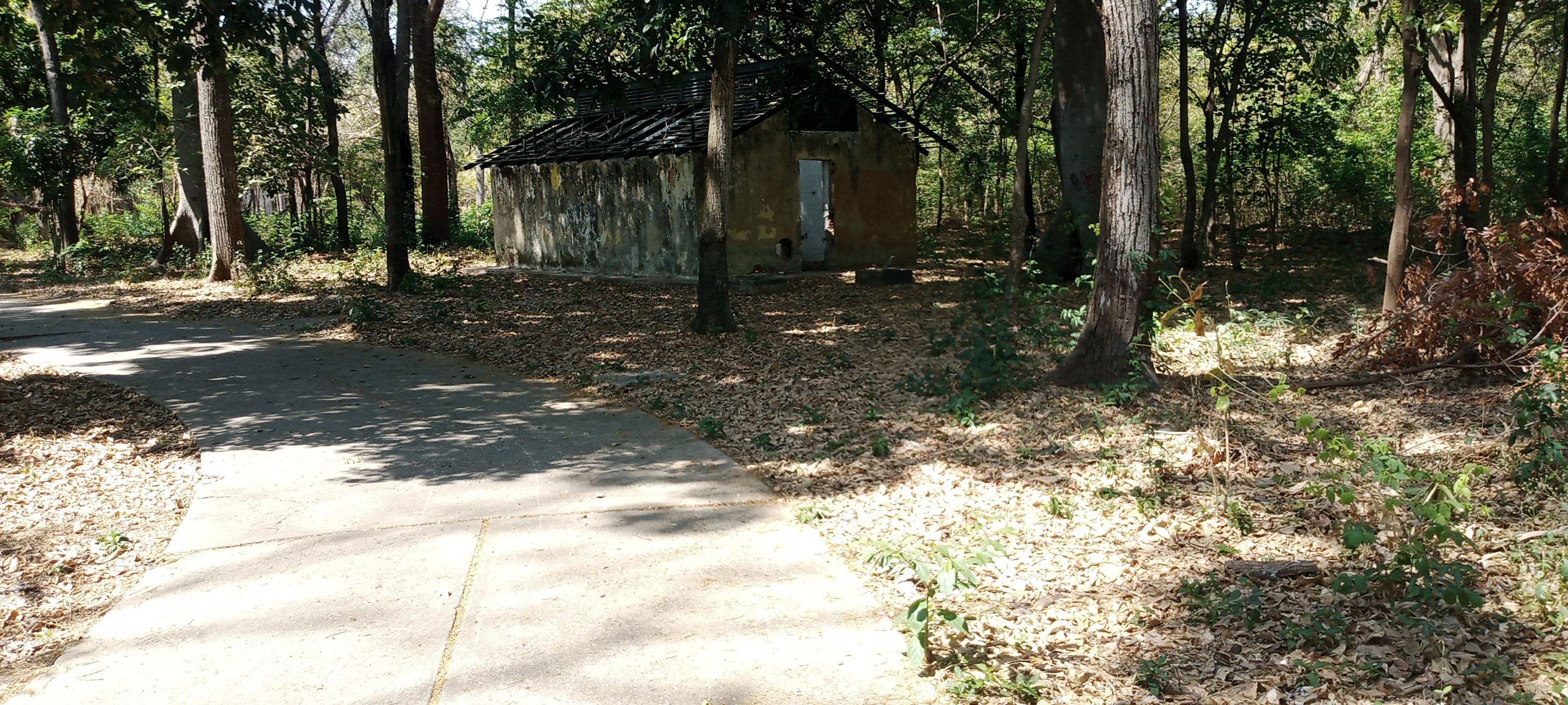 IMG_20230415_102253_457.jpg