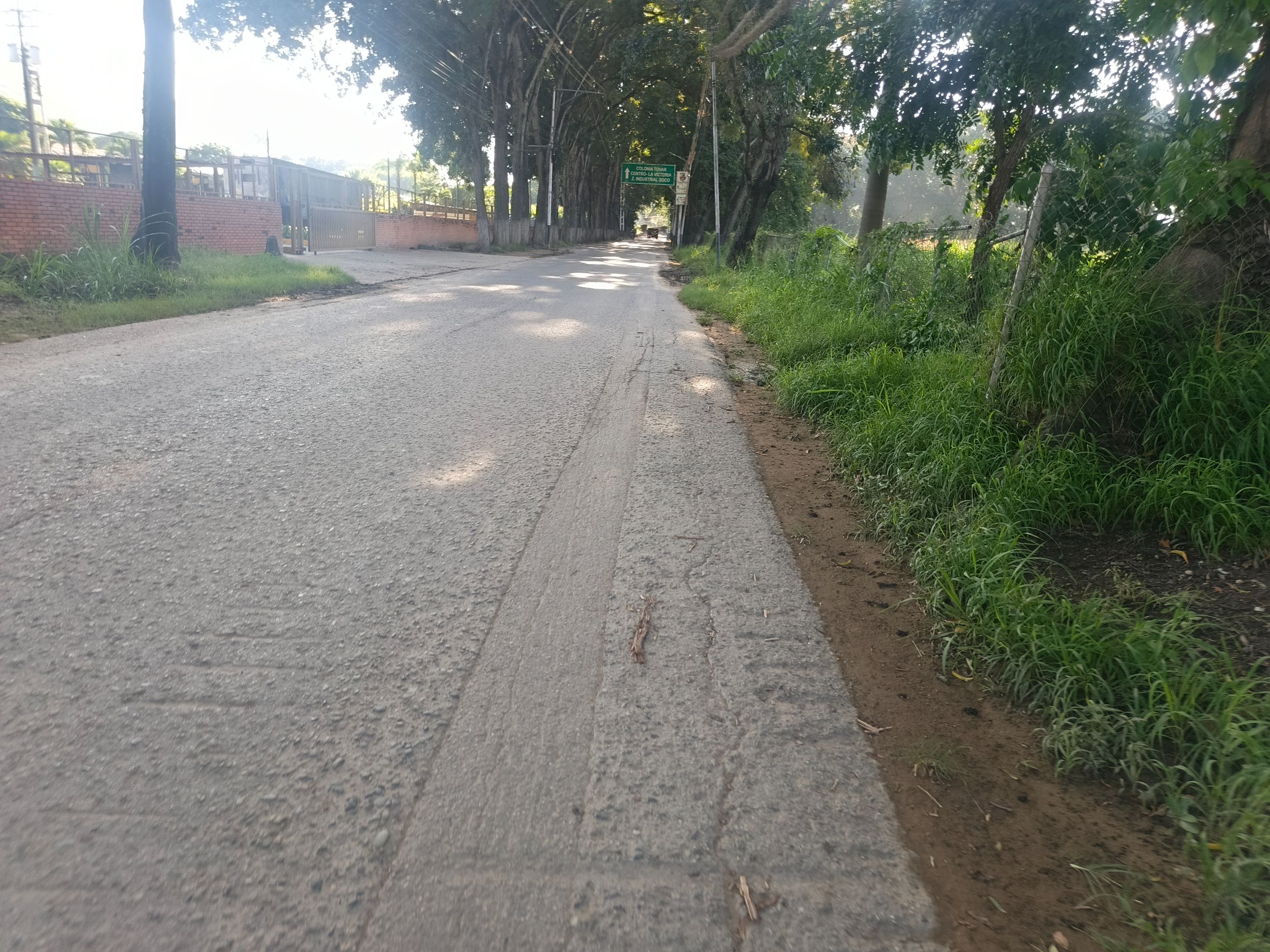 1000234025.jpg