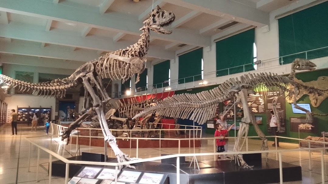 Museo natural.jpg