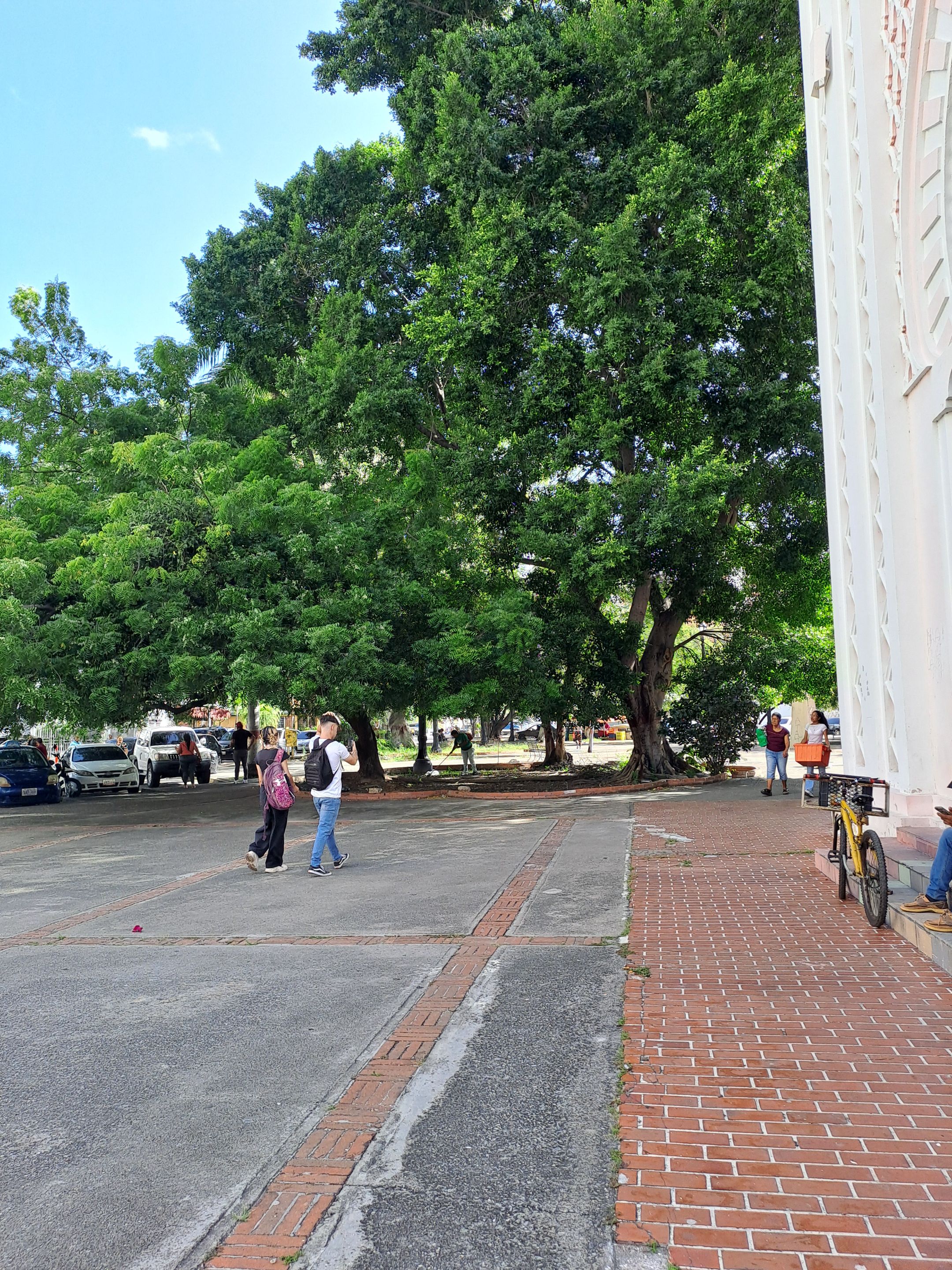 20250725_090041.jpg