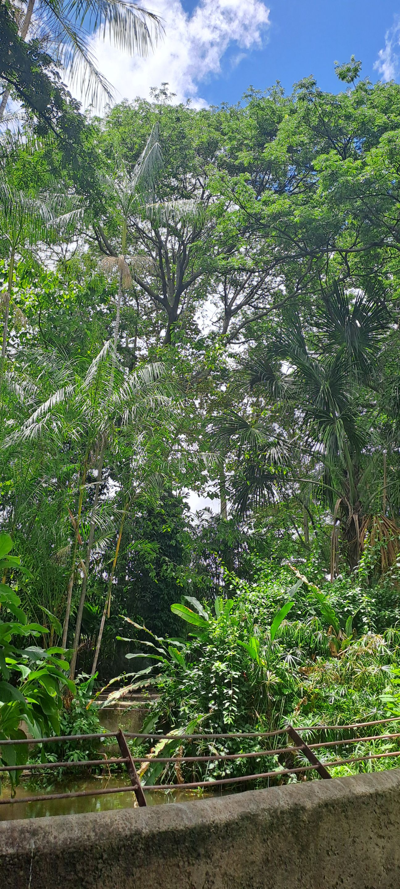 20250524_122416.jpg