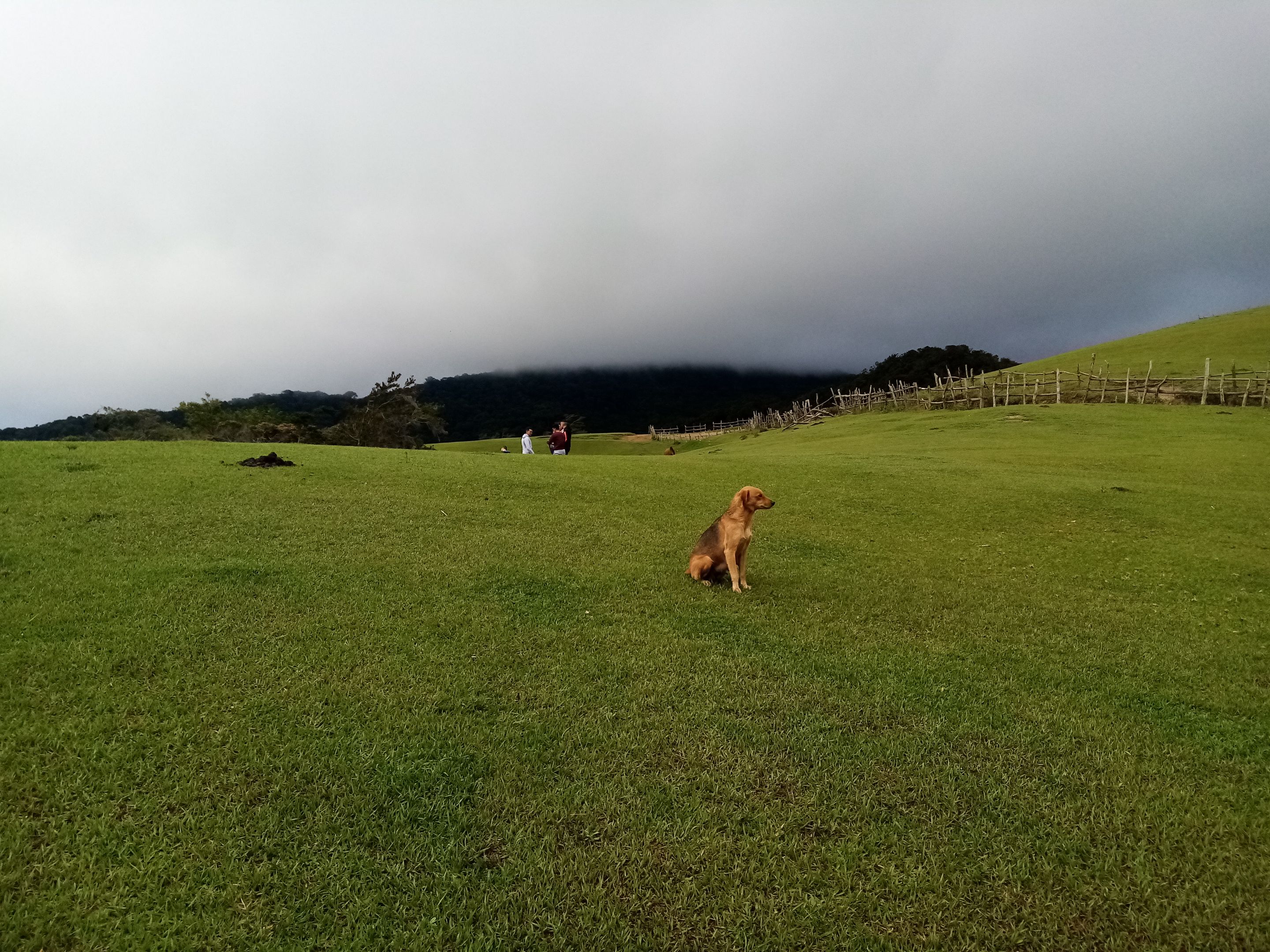 IMG_20220430_073749.jpg