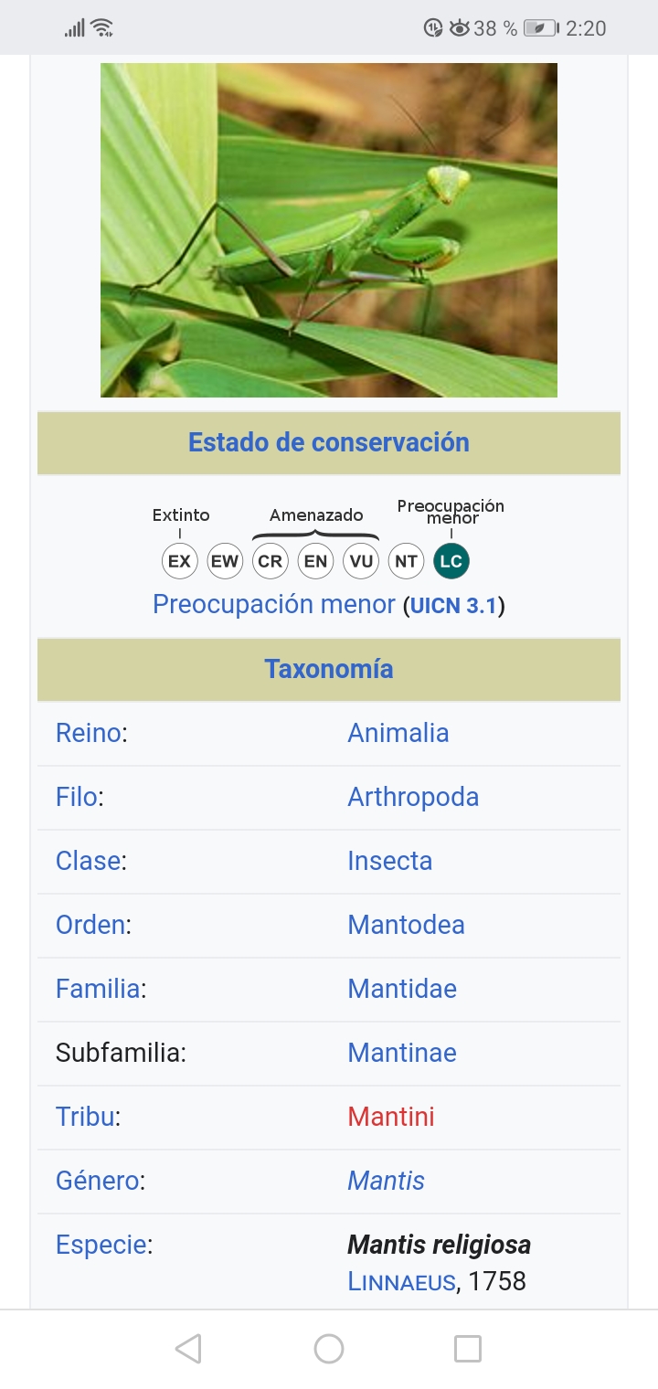 Screenshot_20201214_142032_com.android.chrome.jpg