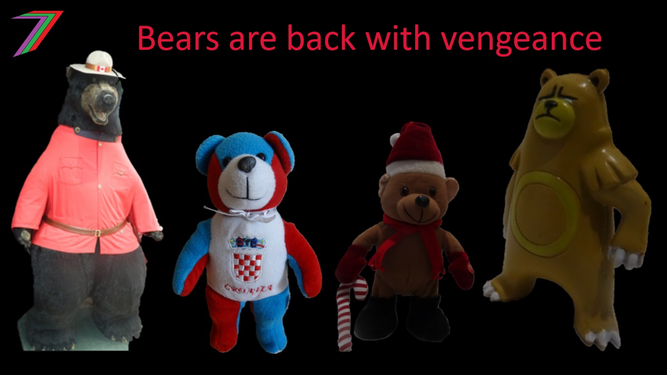 BEARS_back.jpg