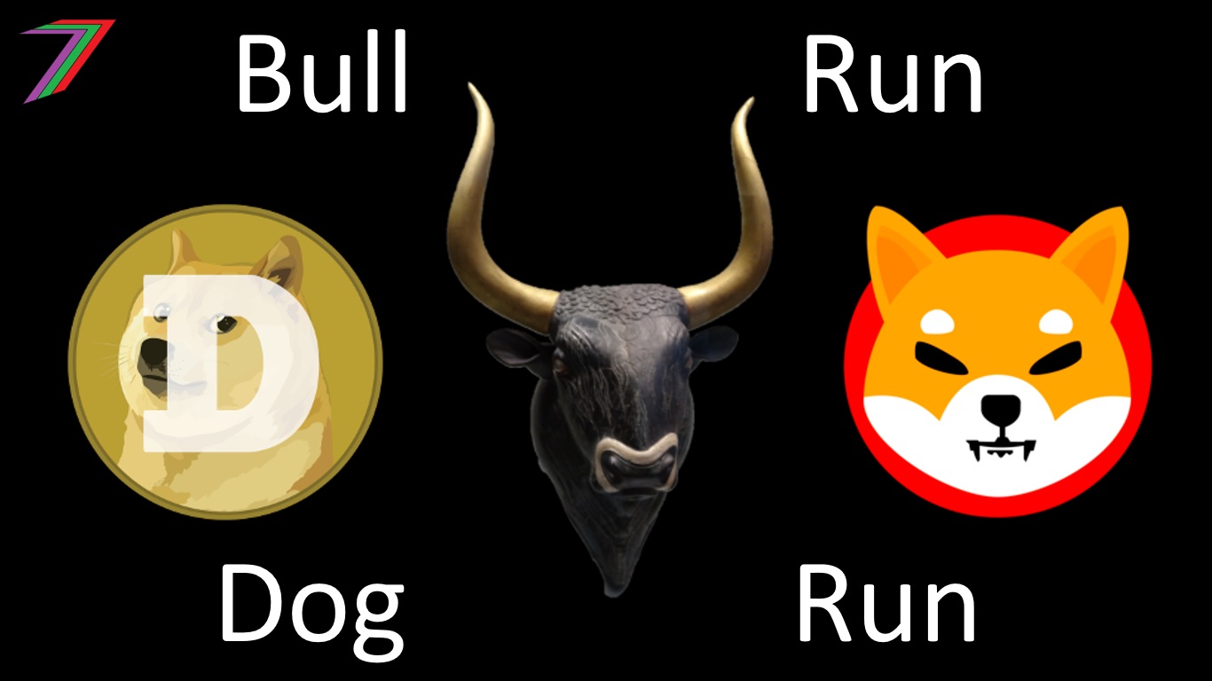 BULL_DOG_RUNN.jpg