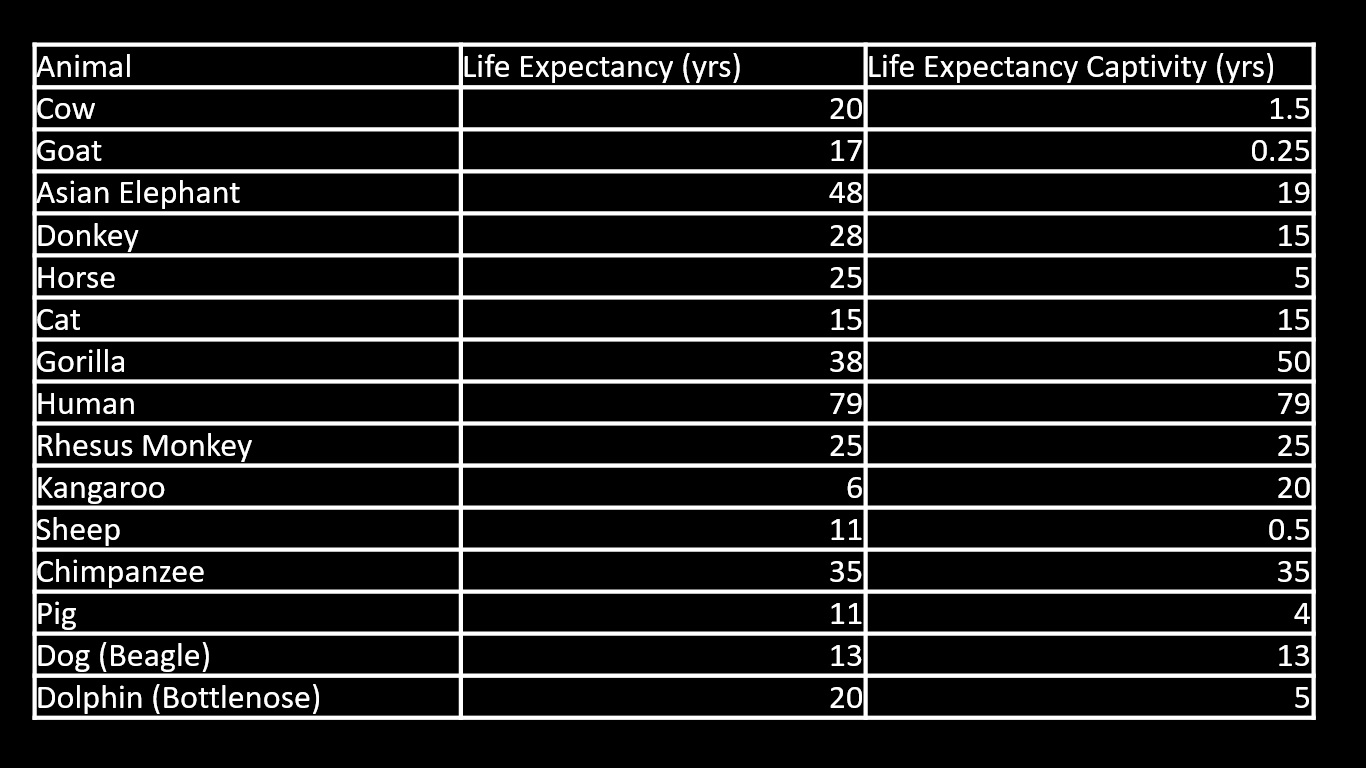 LIFE_EXPECT_it.jpg