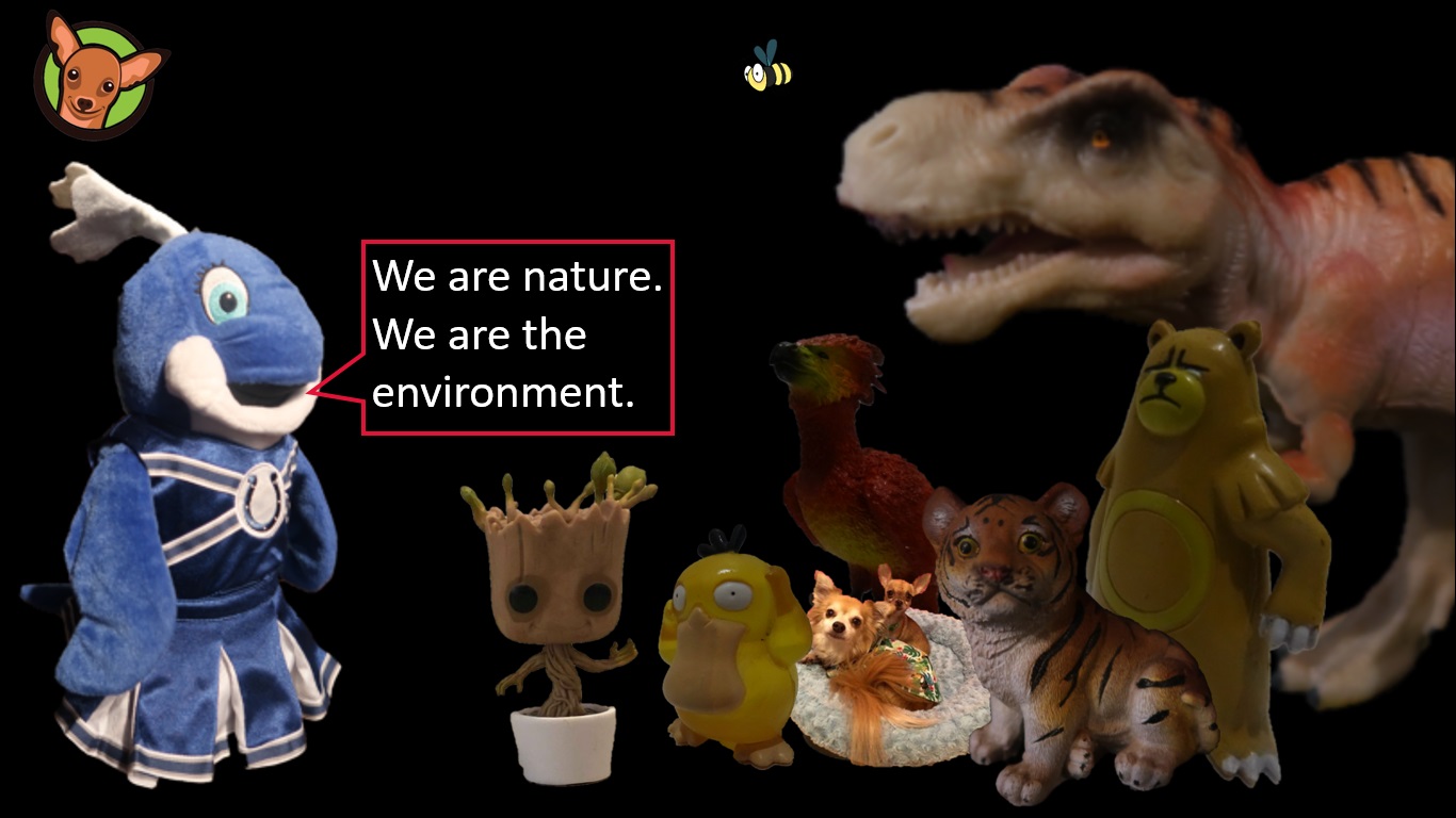 Nature_Environ.jpg