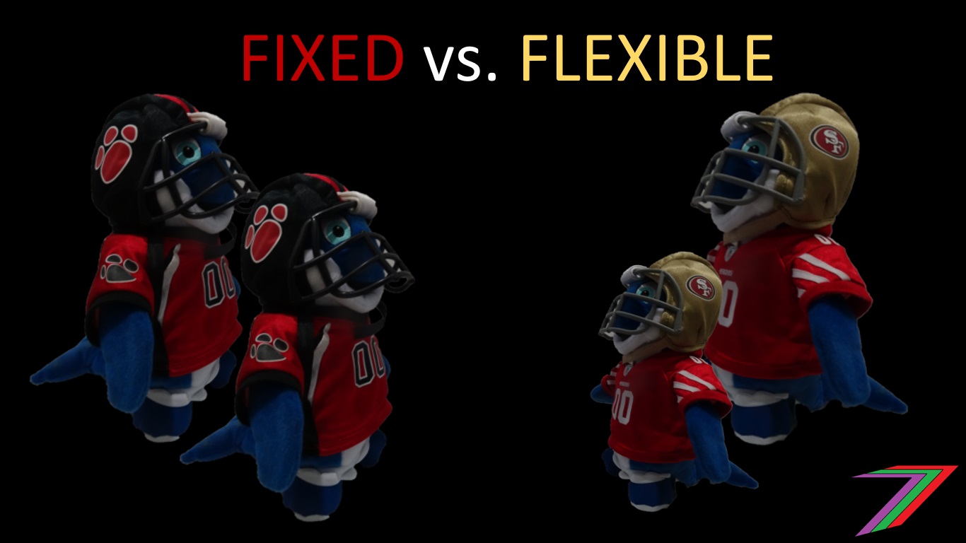 FixedFlex.jpg