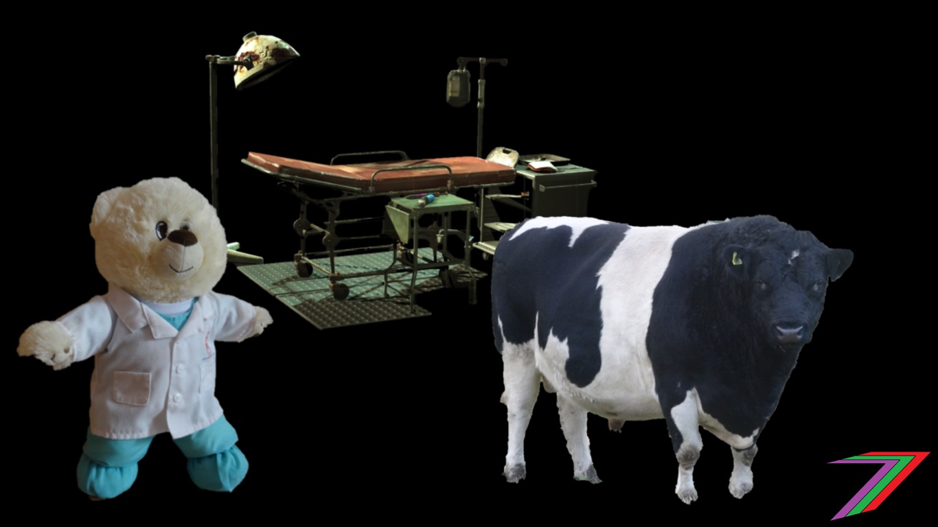 LIFE_HUMAN_vs_ANIMAL.jpg