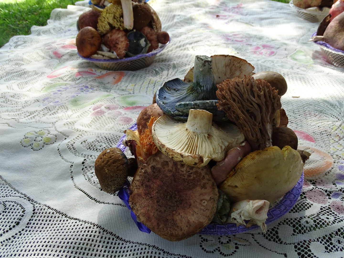 DSC05205.JPG