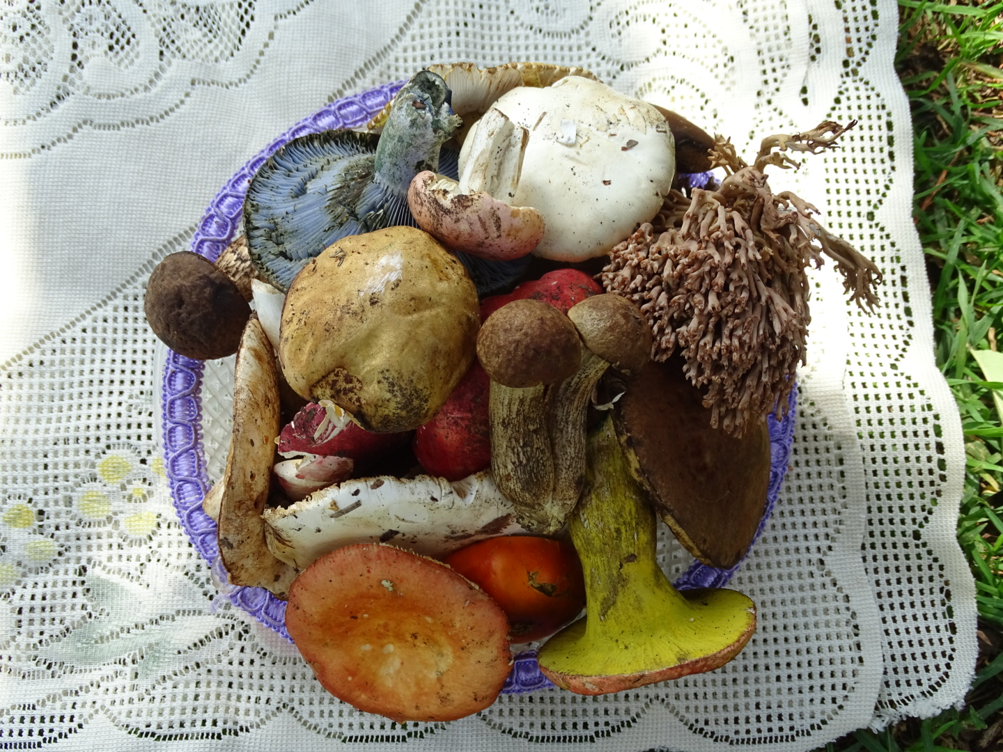 DSC05206.JPG