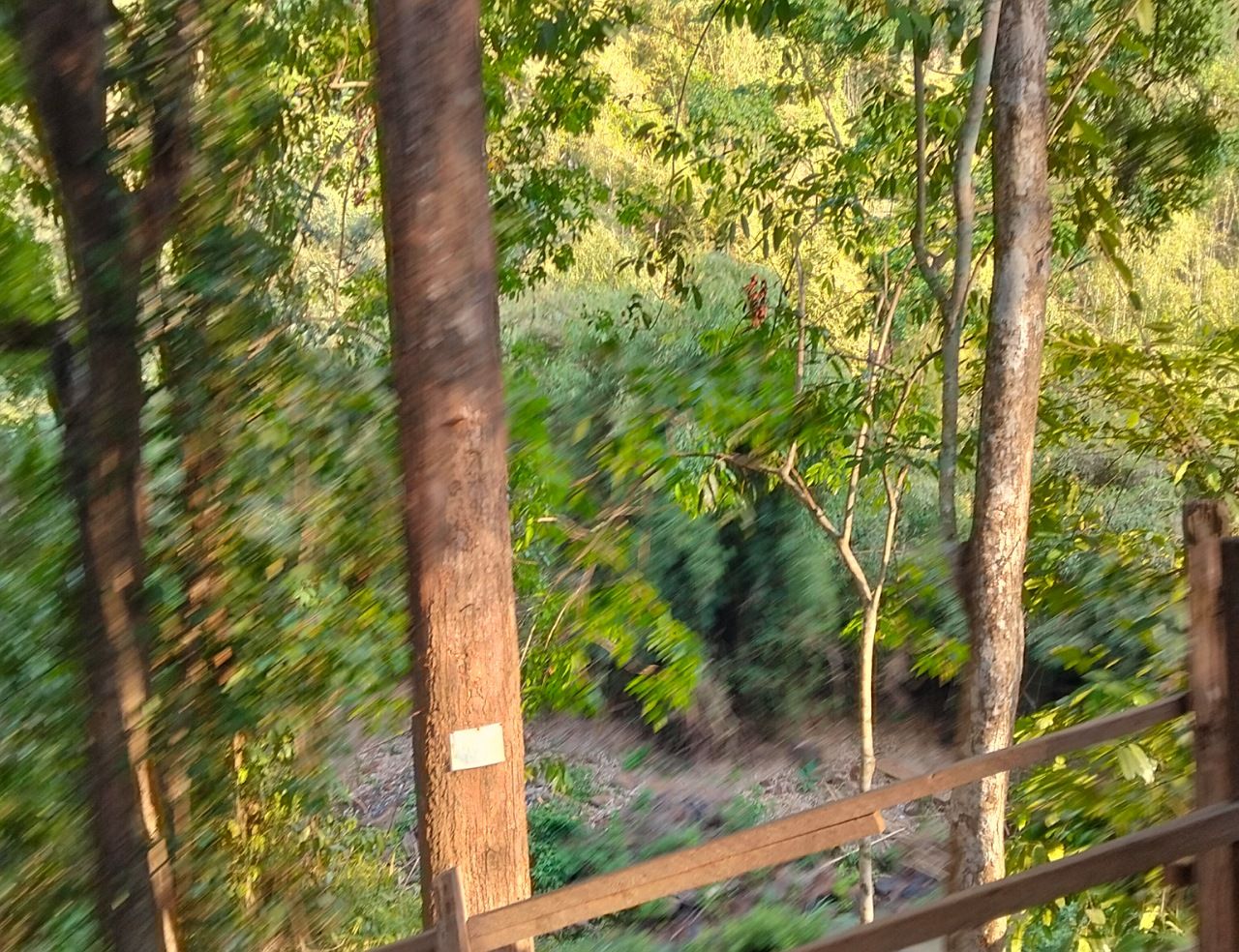 1000002590.jpg