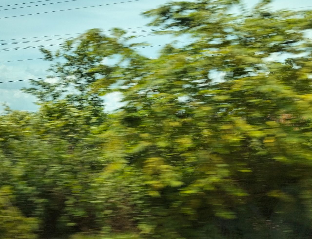 1000004241.jpg