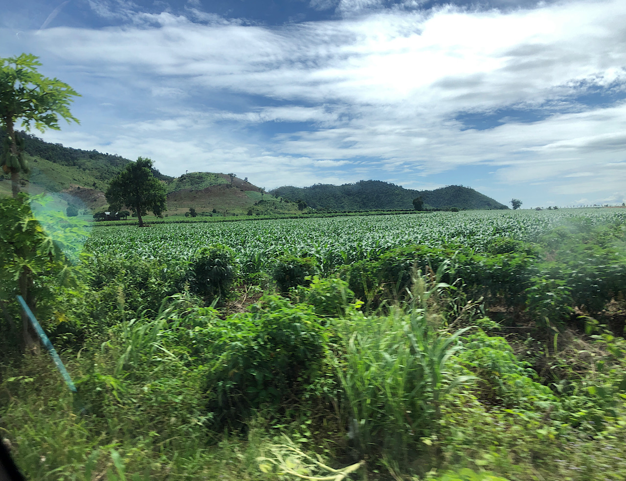 FE753EF0-7C2B-4374-8CB2-A5D2191B393E.jpeg