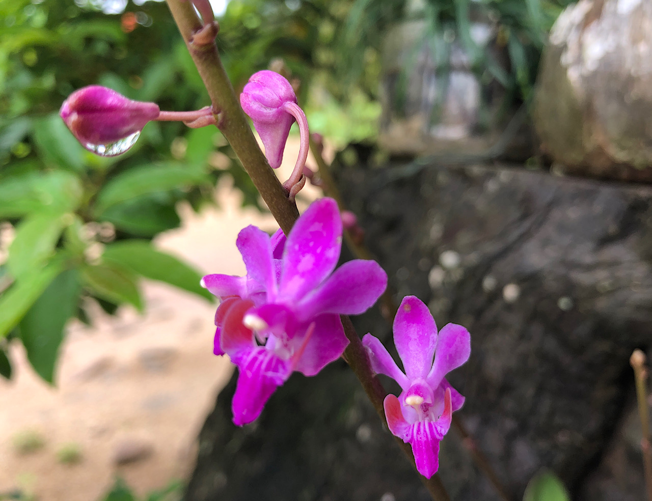 IMG_5729.jpeg