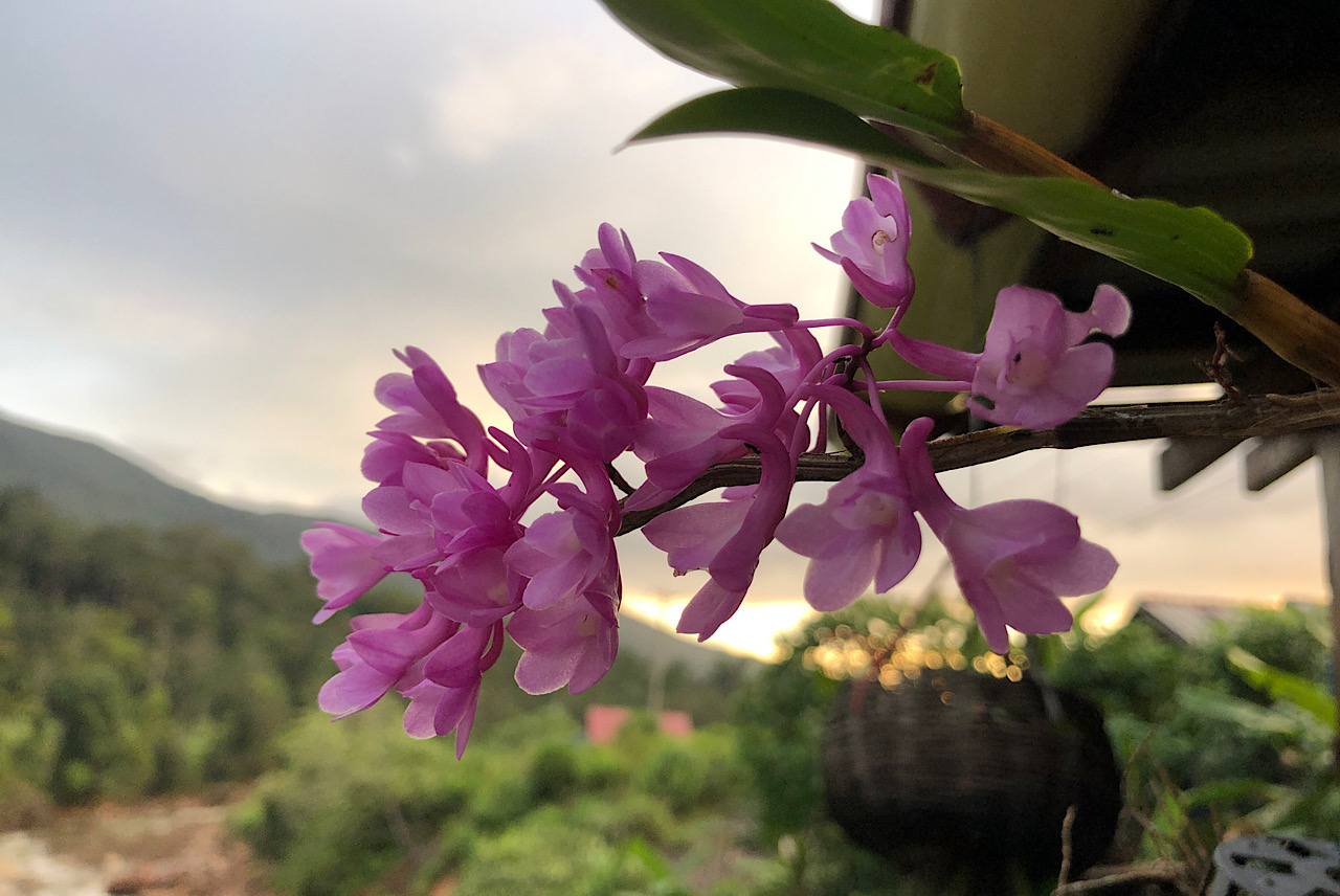 IMG_5722.jpeg