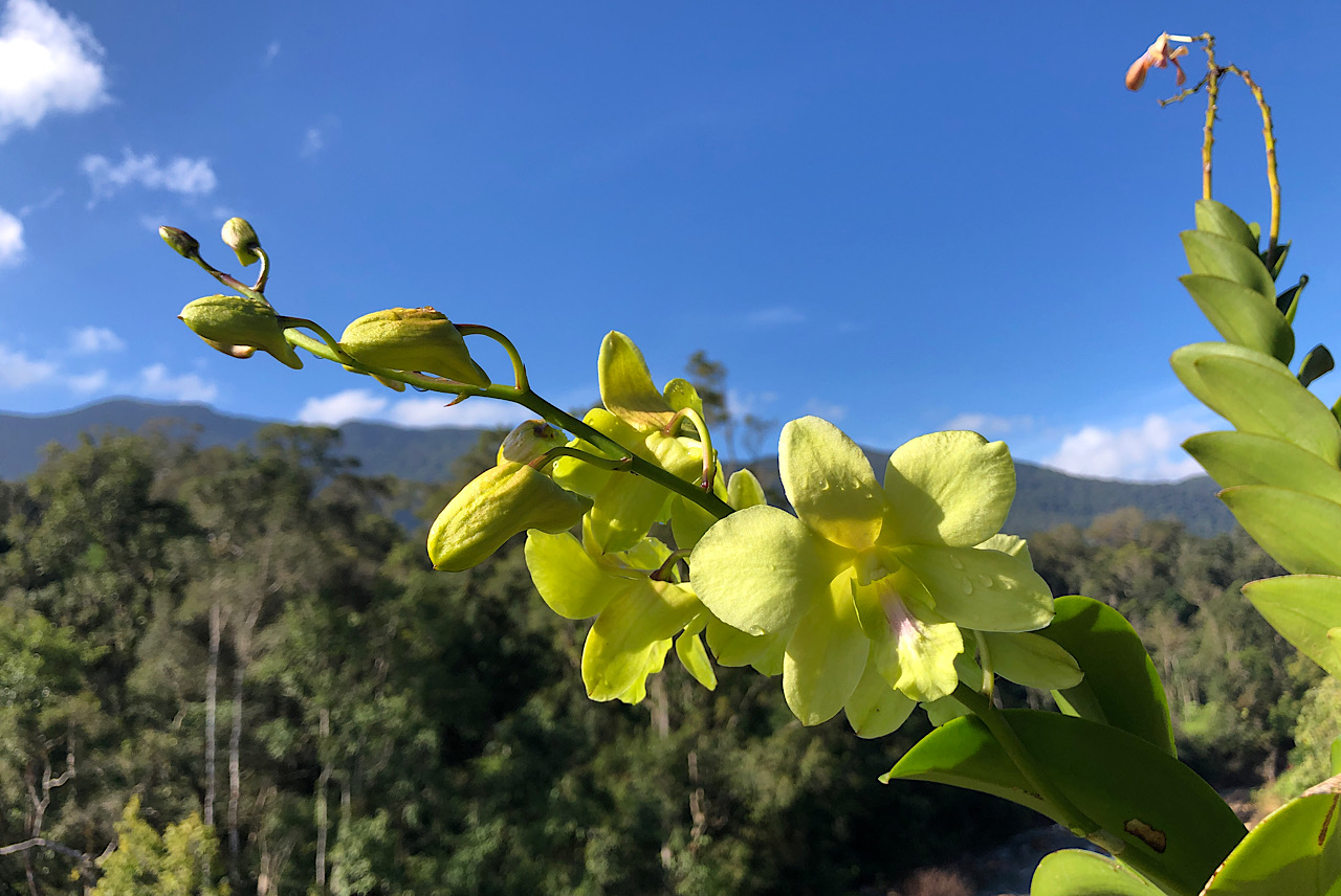IMG_0586.jpeg