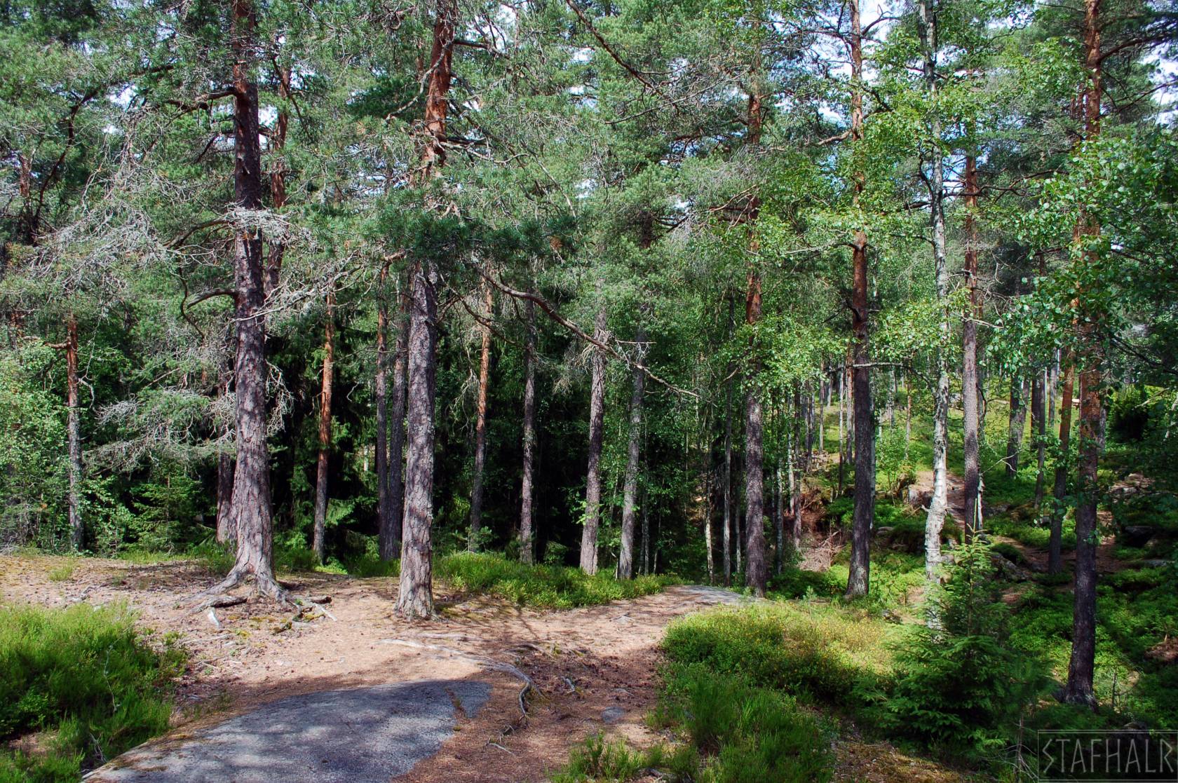DSC_0023.jpg