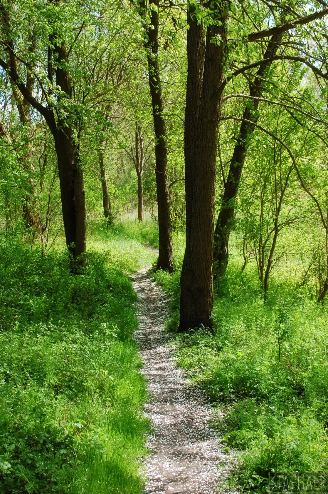 DSC_0499.jpg