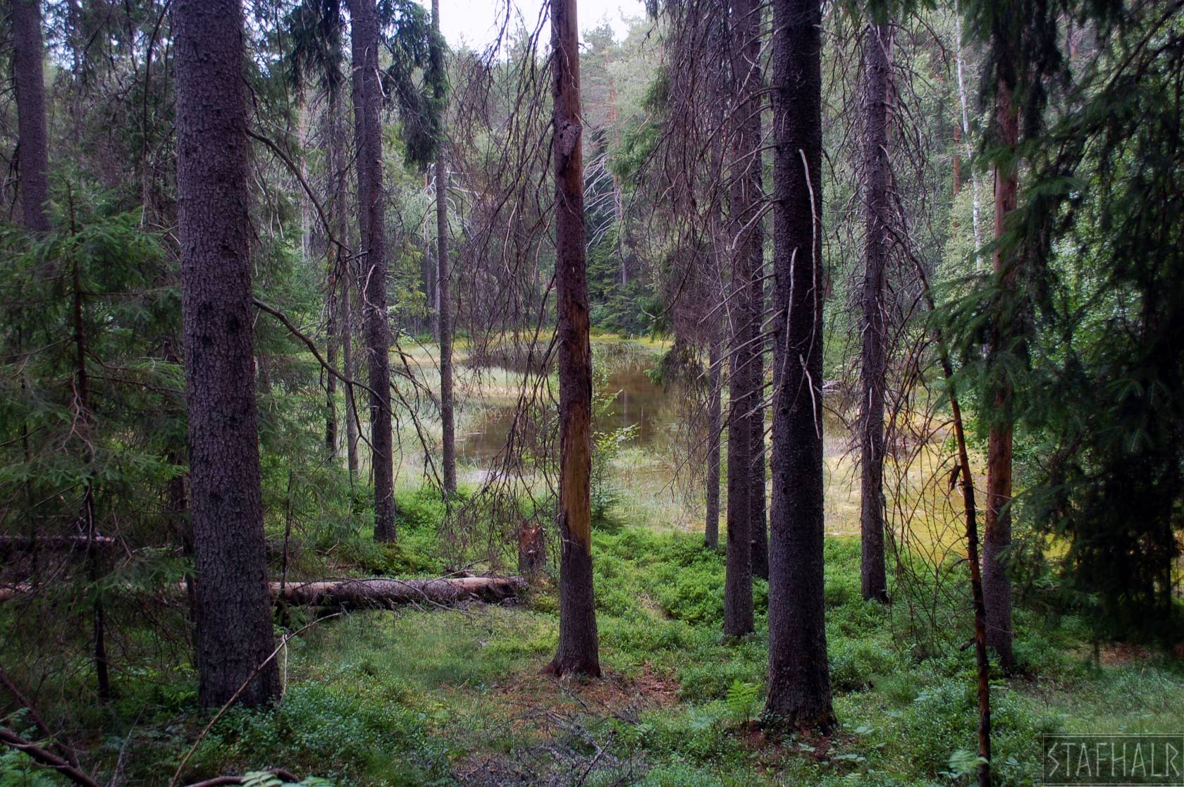 DSC_0094.jpg
