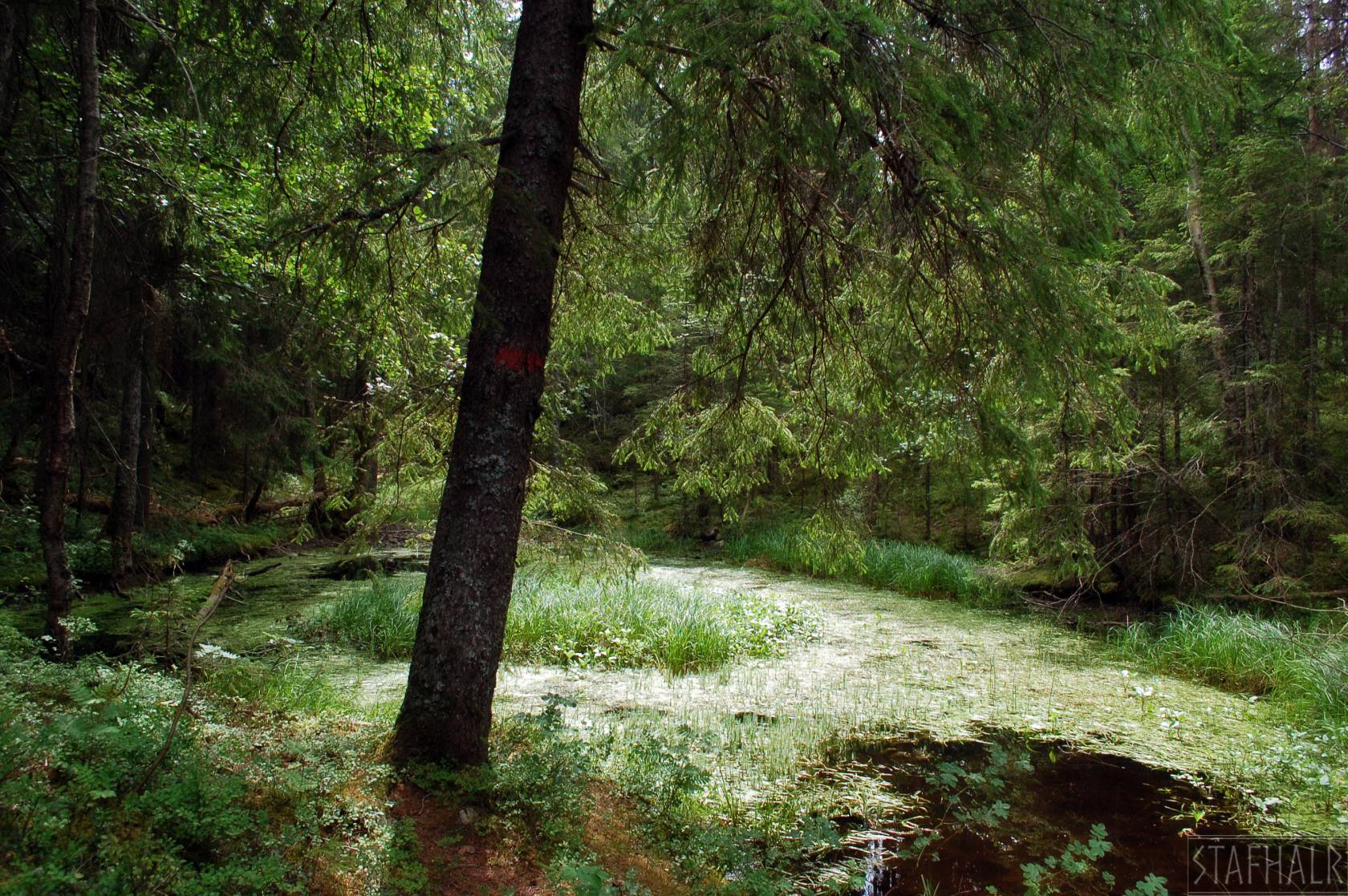 DSC_0046.jpg