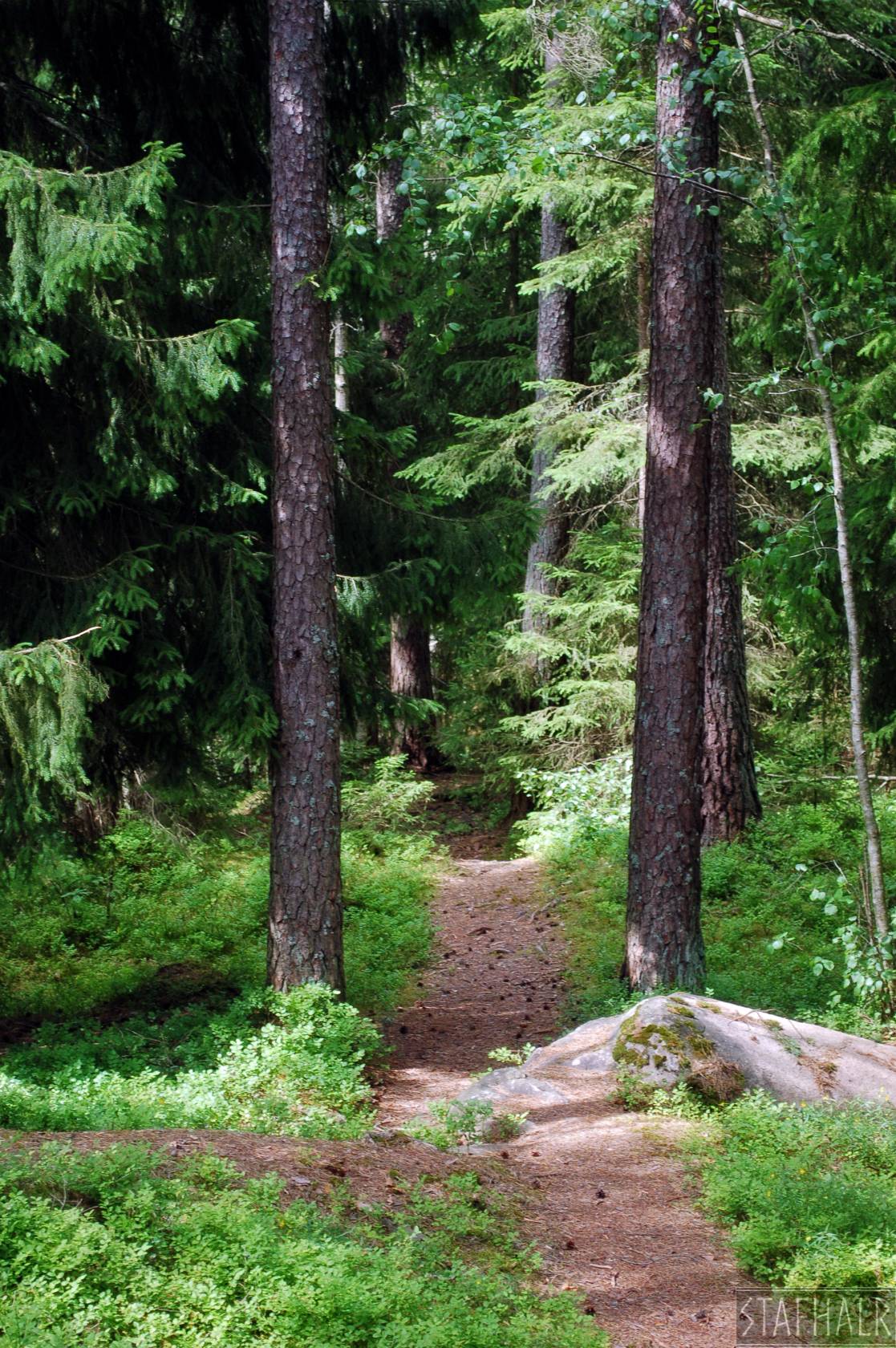 DSC_0025.jpg