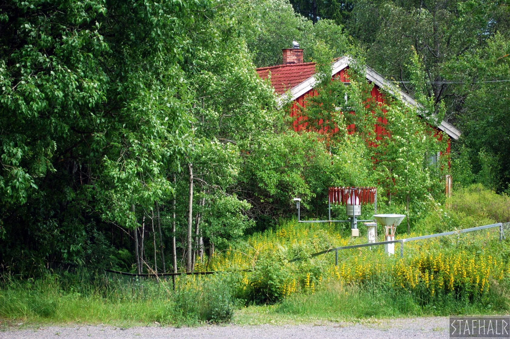 DSC_0103.jpg