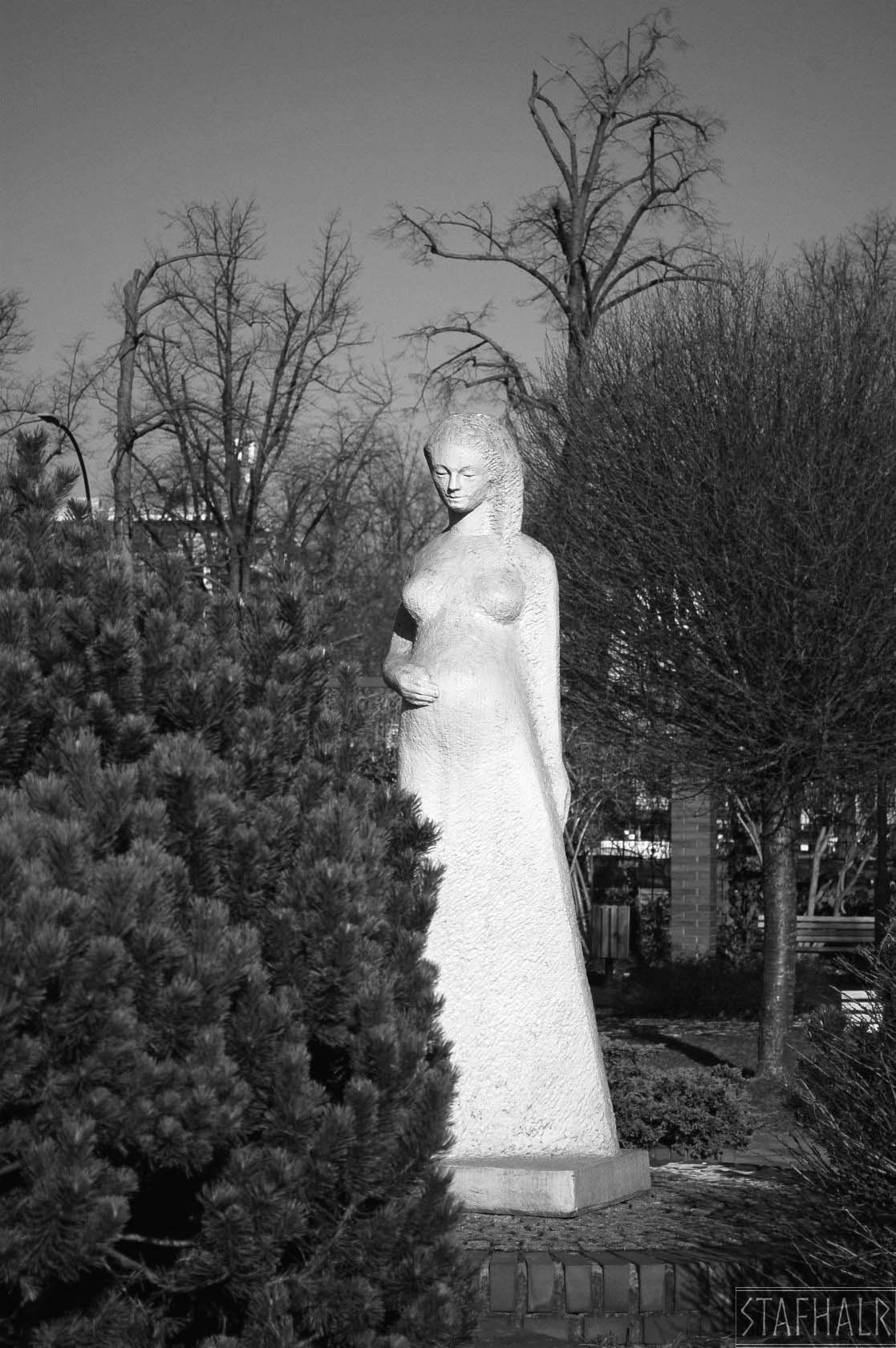 DSC_0381.jpg