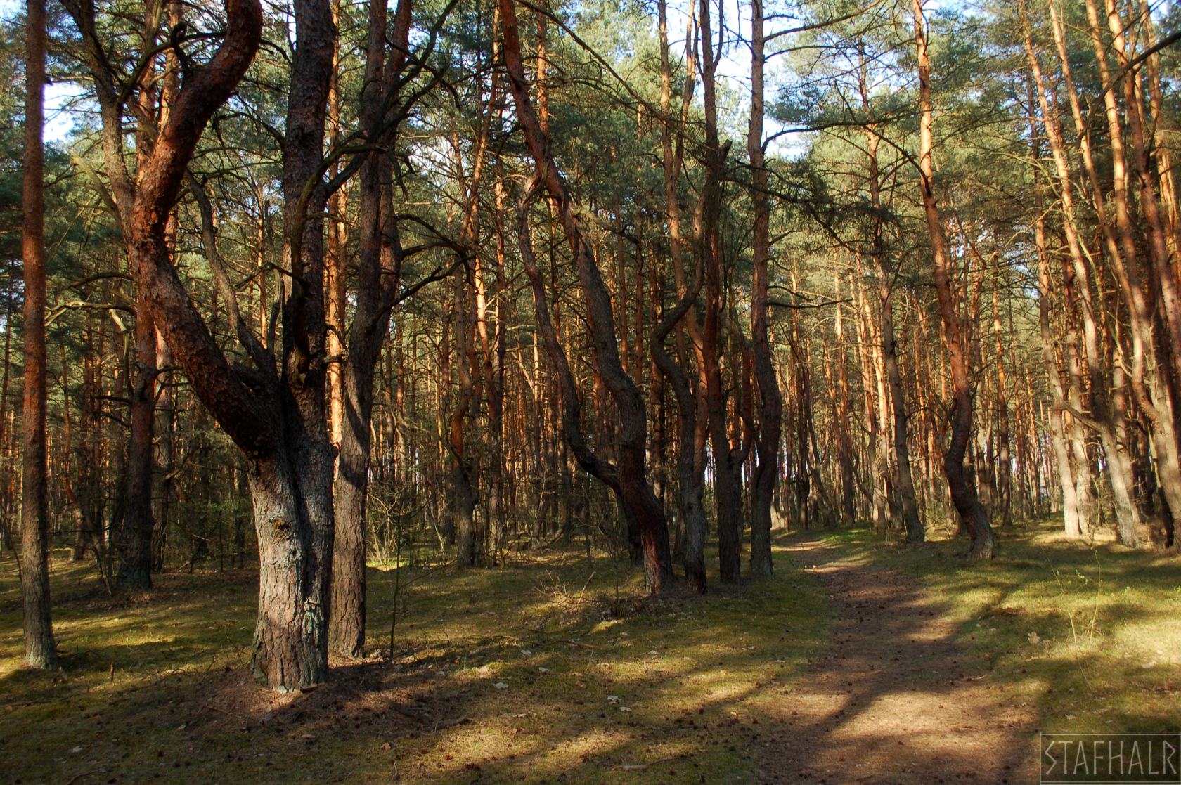 DSC_0590.jpg