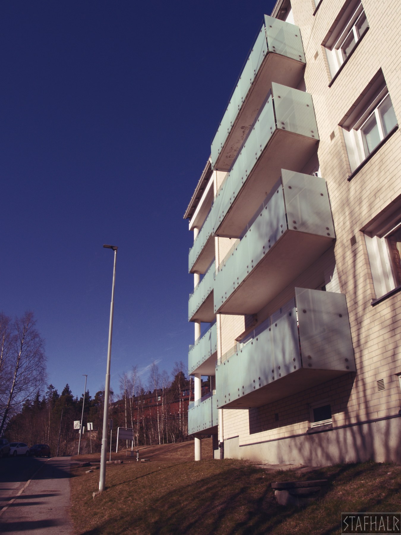 P1012460.jpg